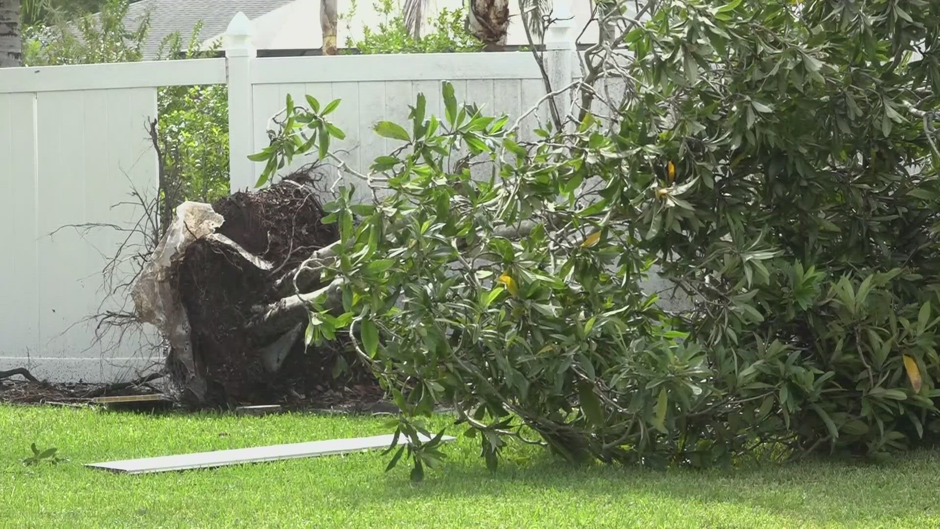 A tornado touched down in the Indian trail section of Palm Coast at about 4:45 a.m. on Thursday, according to the National Weather Service.
