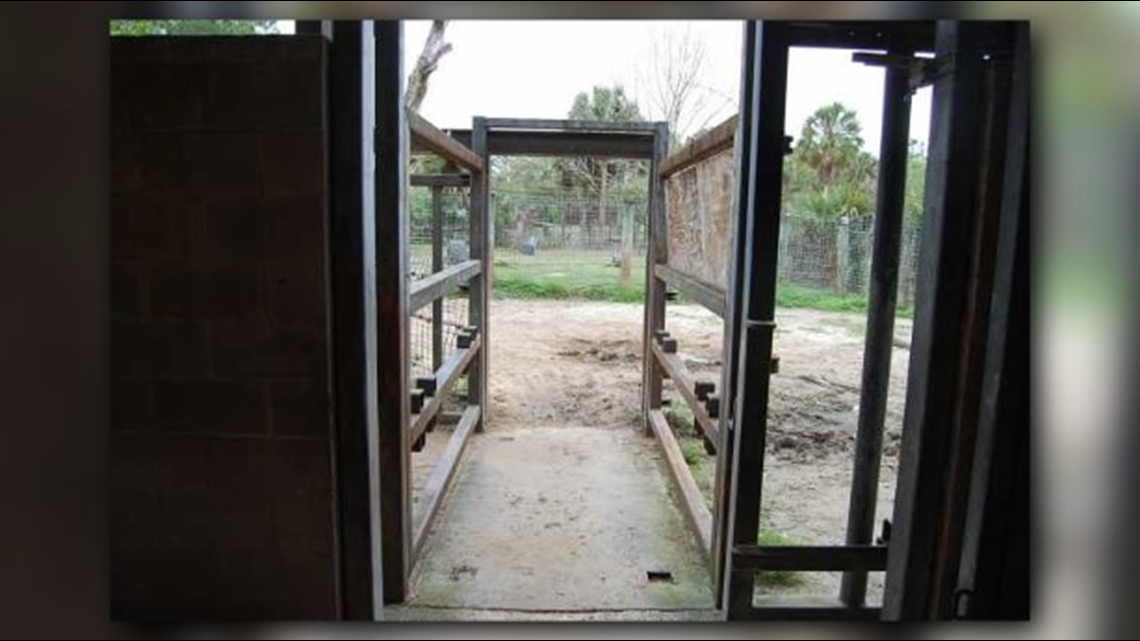 FWC releases official report after trainer injured during rhino