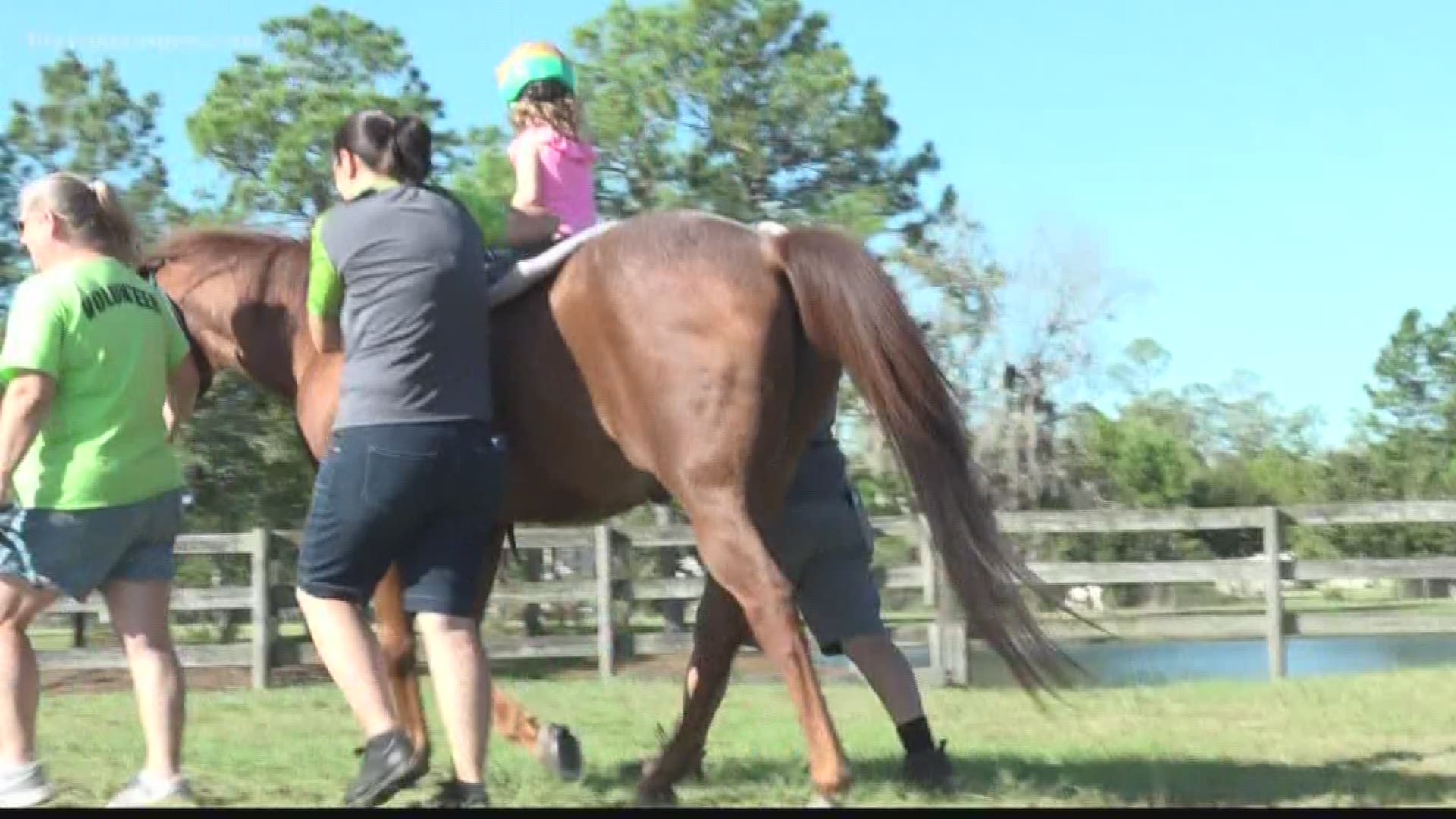 The therapy is called Hippotherapy, some of the therapy techniques include letting kids ride backward, voice commands to the horse and playing catch.