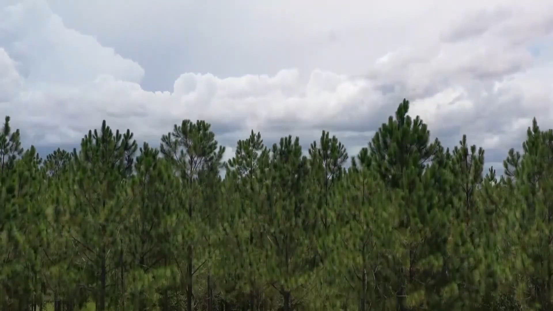 St. Johns County leaders forced to approve 1100-acre development under ...