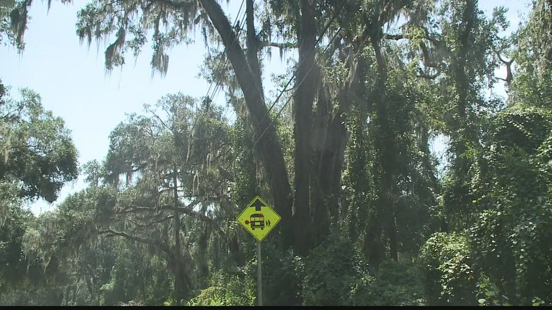 A power worker was shocked while working on a line in St. Johns County
