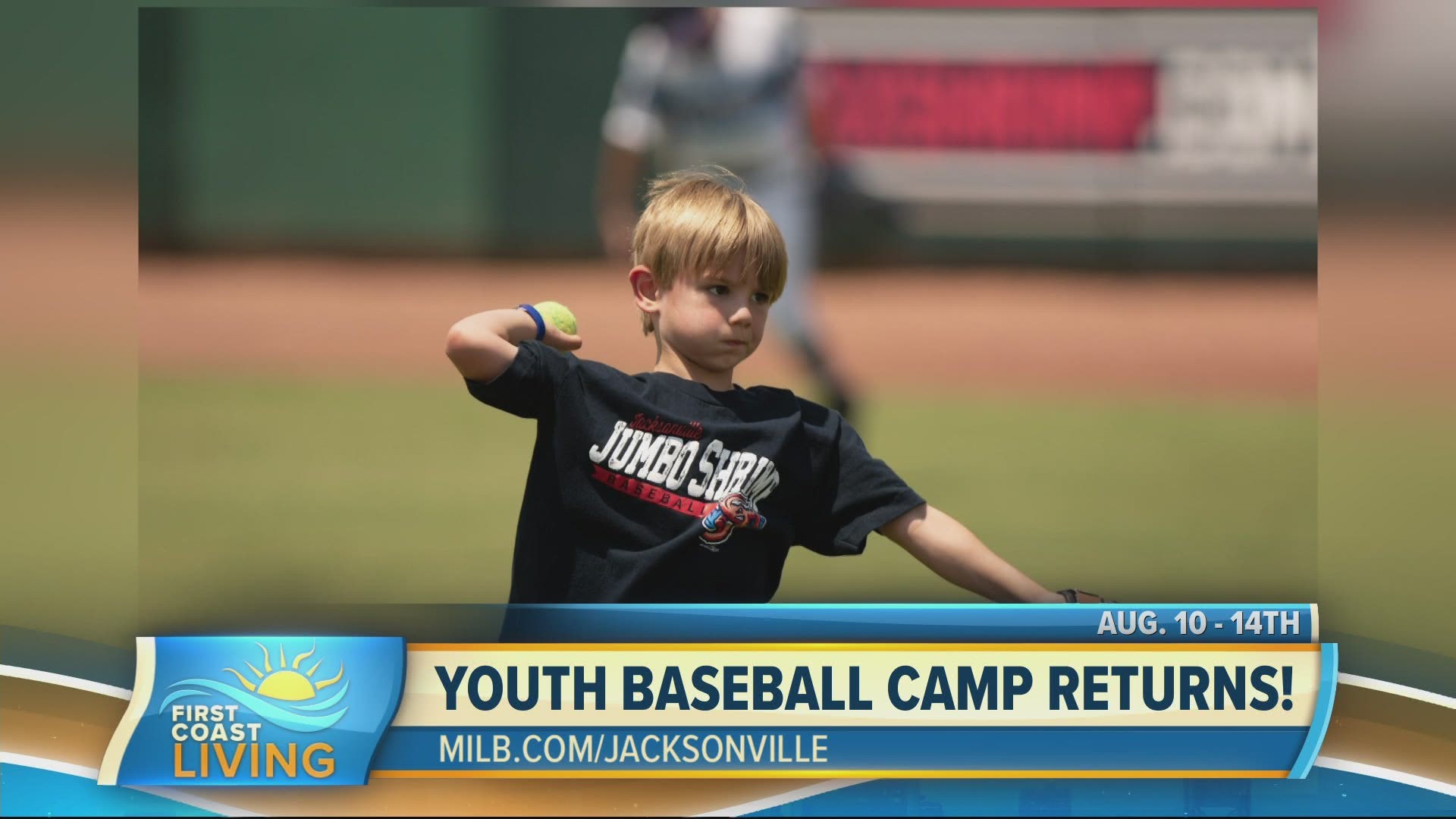 youth baseball camps near me 2020