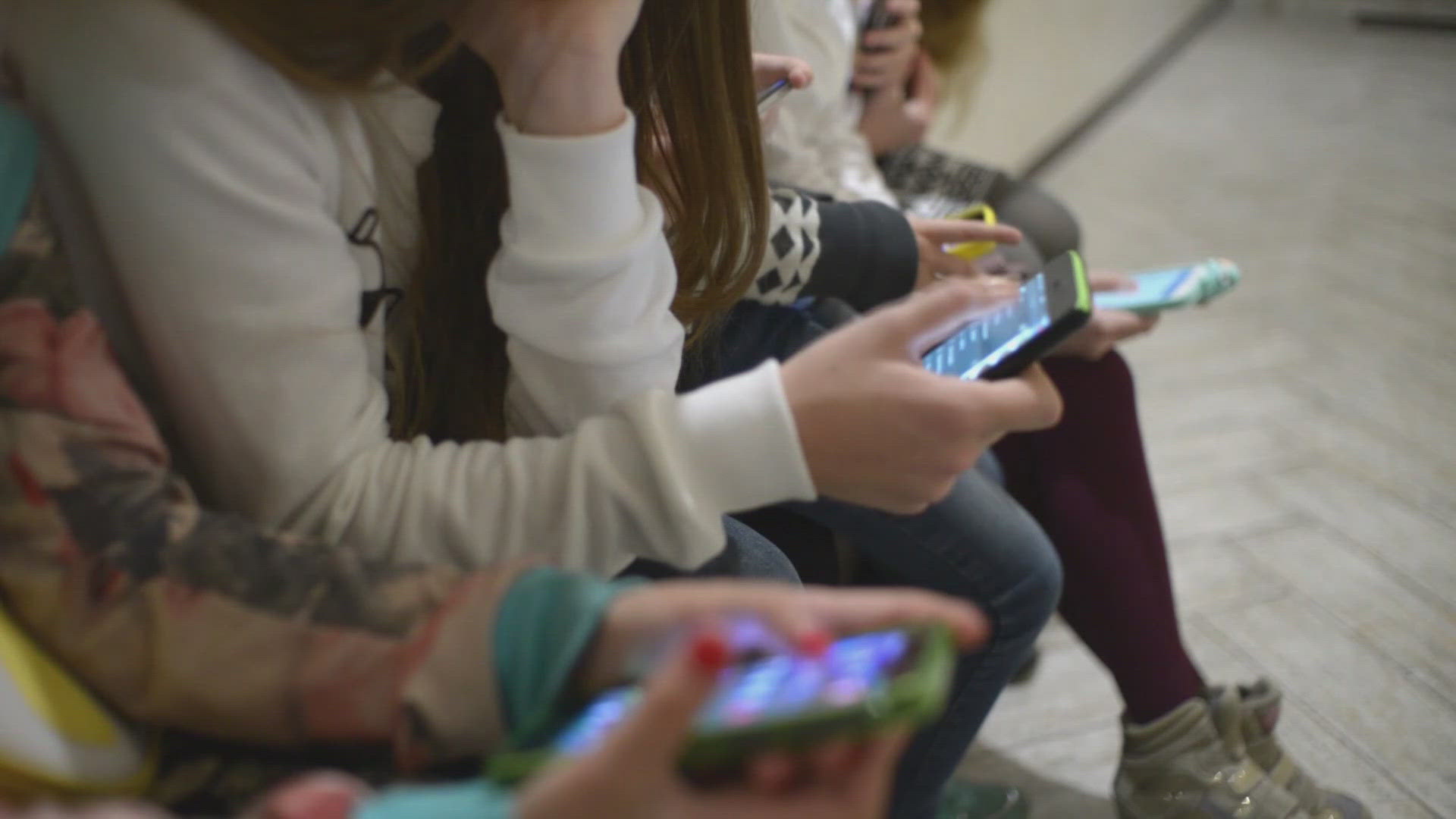 A Nassau County teen faces felony charges after police said they created fake TikTok accounts to threaten a student.