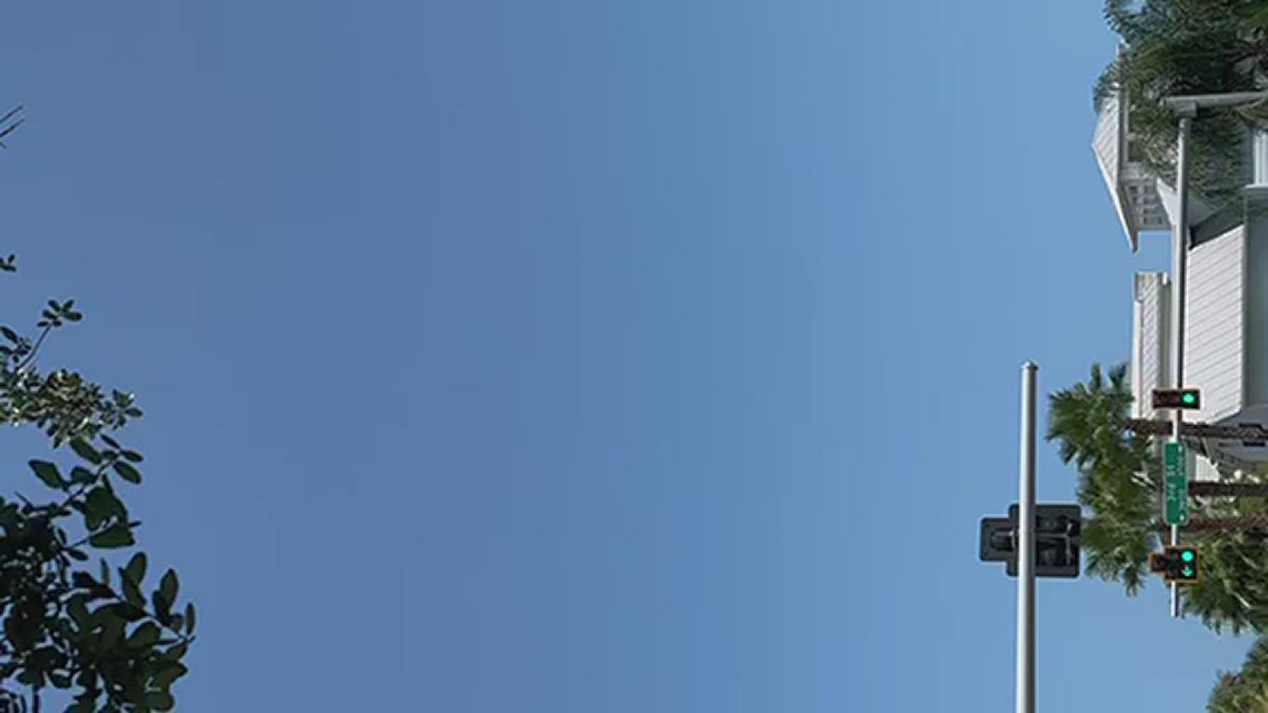 North Florida police K9 flown to Jax Beach vet after officerinvolved