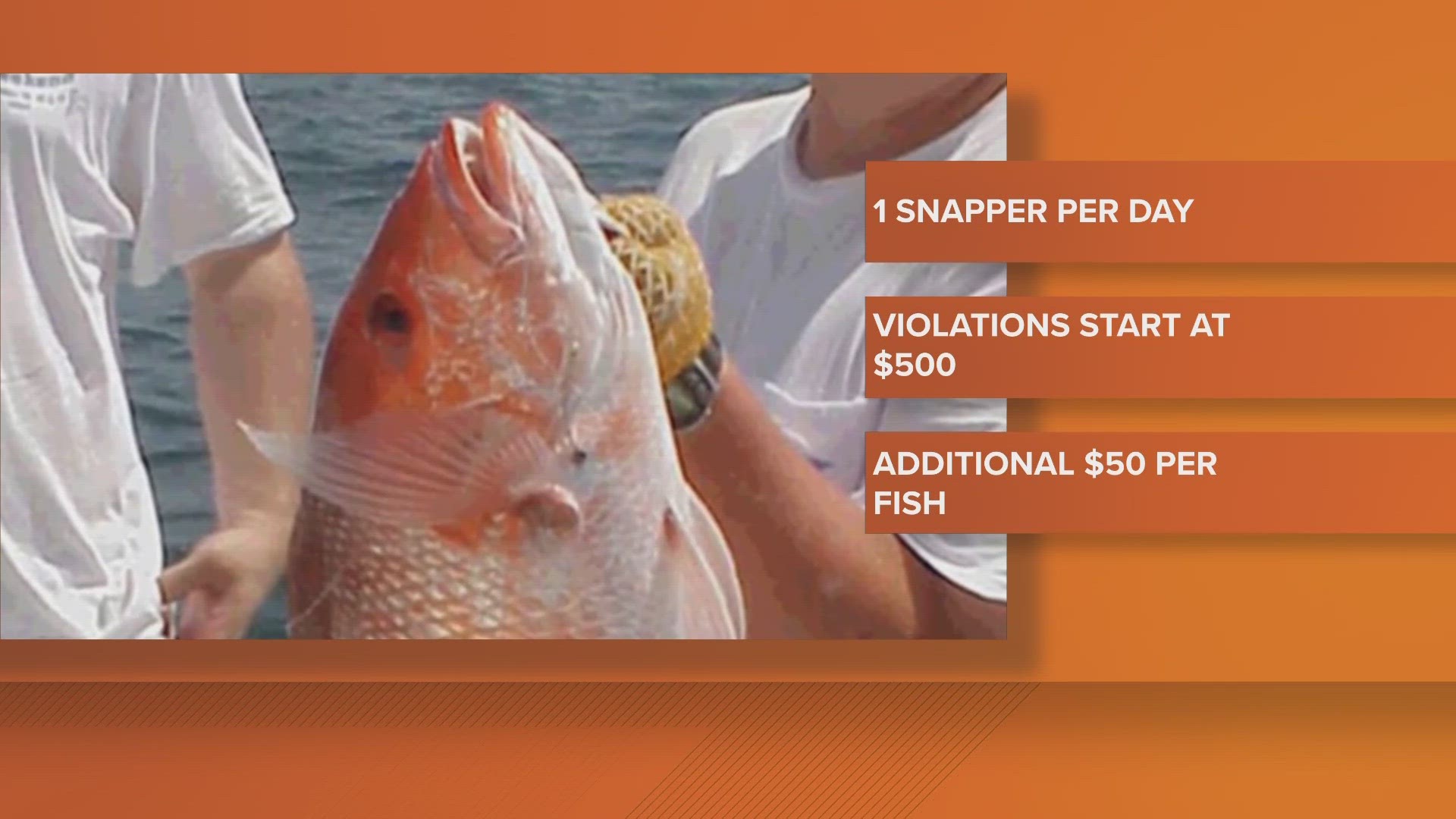 Here's what you need to know as Atlantic red snapper season officially