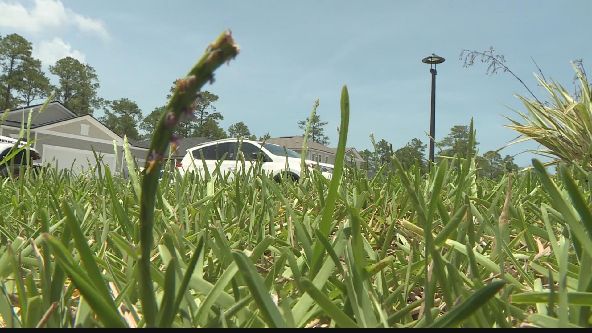 St. Augustine City Public Works says: developer did not install separate irrigation lines.