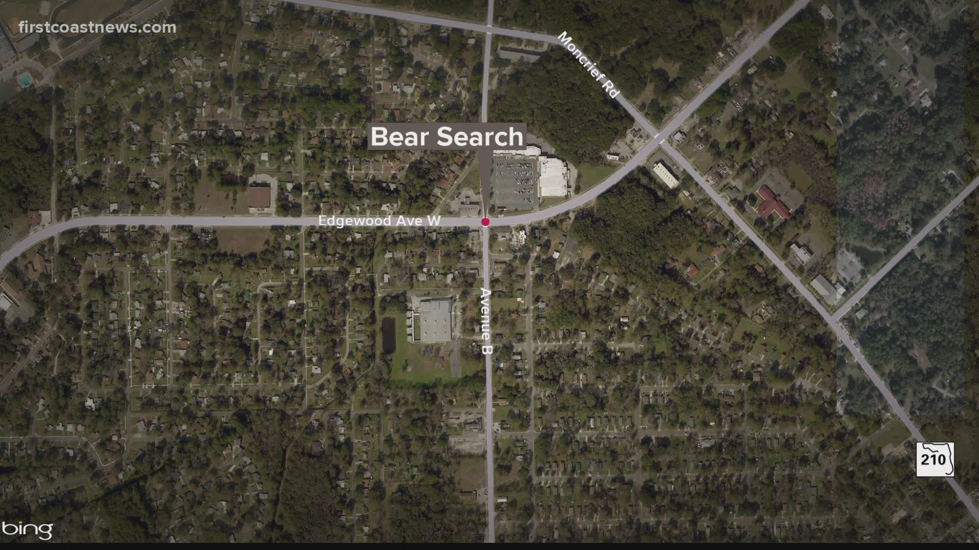JSO says do not approach or agitate the bear if you spot it.