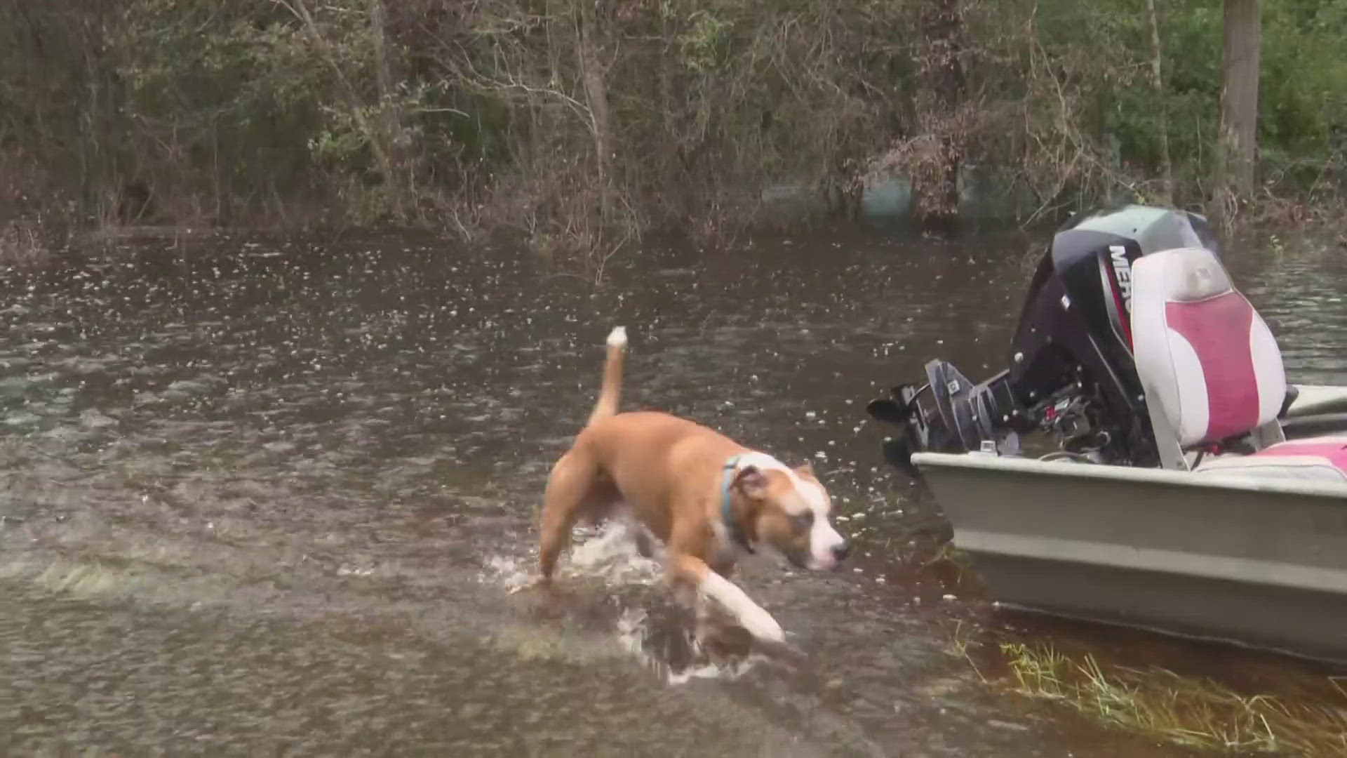 Homeowners have been forced to use boats to get to and from their homes.