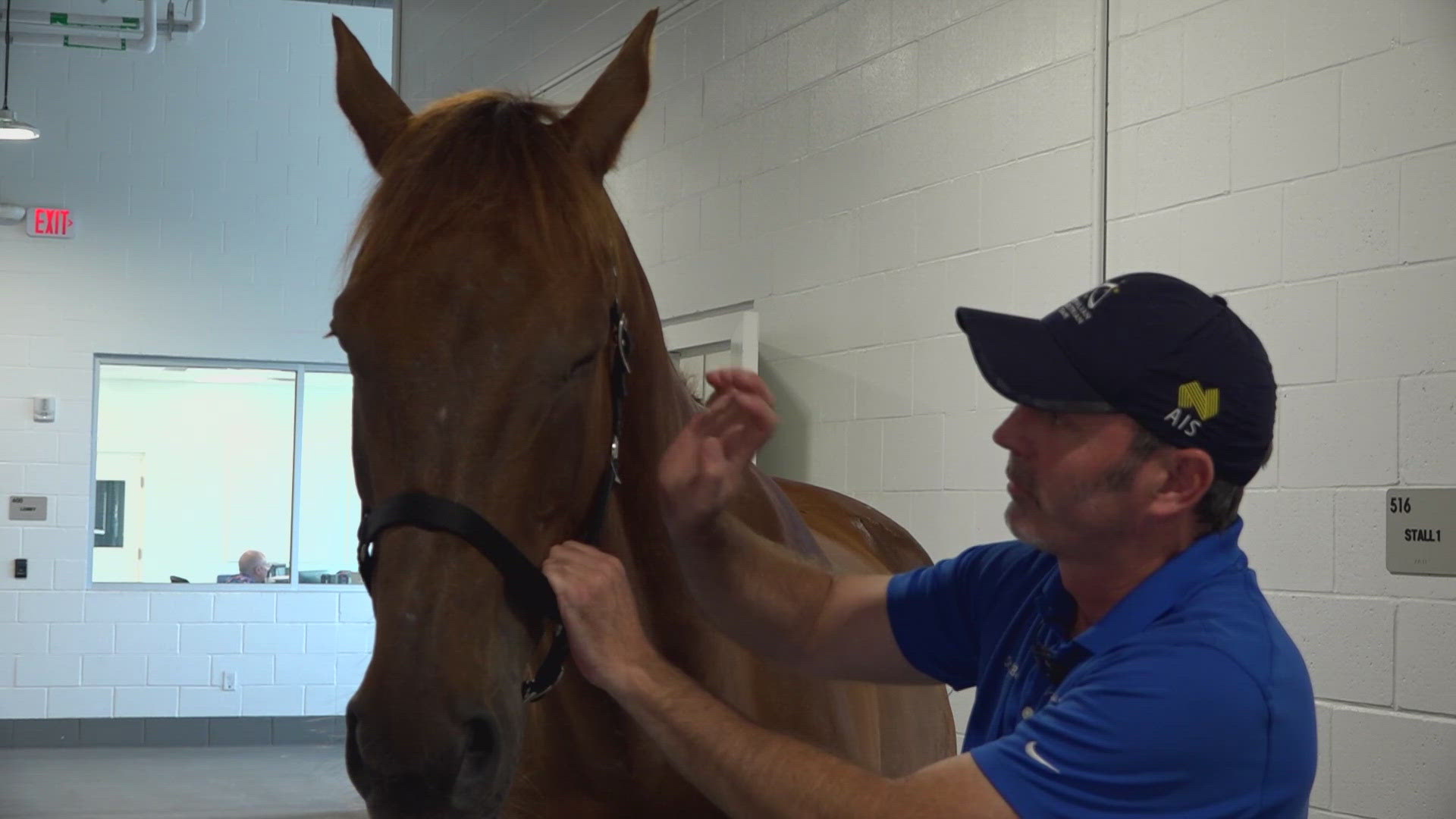 With a little over a month until the first day of the 2024 Olympics, a UF professor is getting ready to travel to Paris. Not as an athlete, but as a veterinarian.