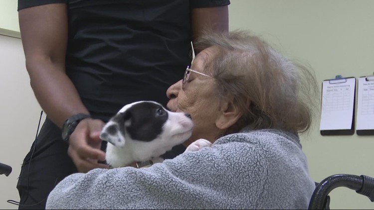 Puppy therapy could help residents of nursing homes, says Marine veteran