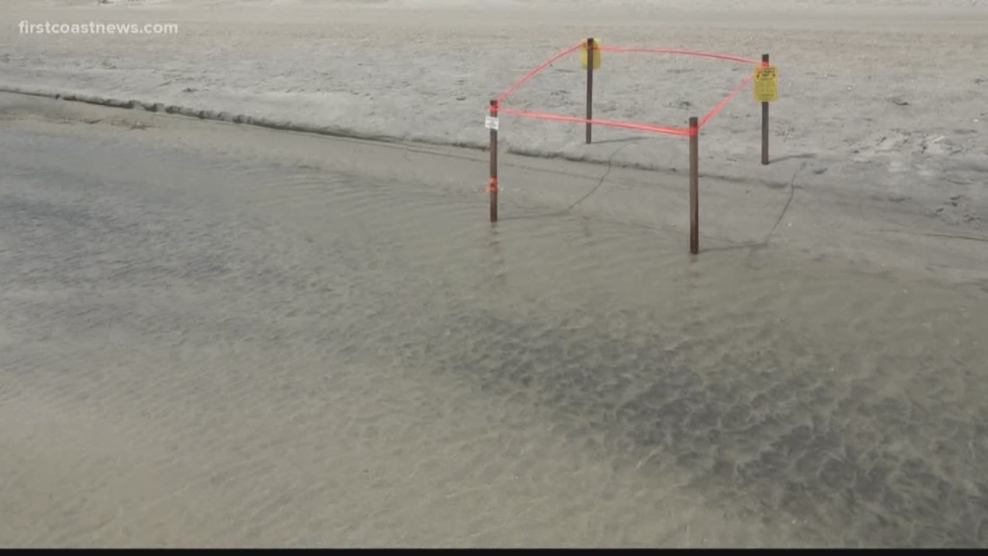 If people see washed up nest markers you should move them higher up the beach.  You can also take a photo of the nest number on the stake and text it to Beaches Sea Turtle Patrol at (904) 613-6081.