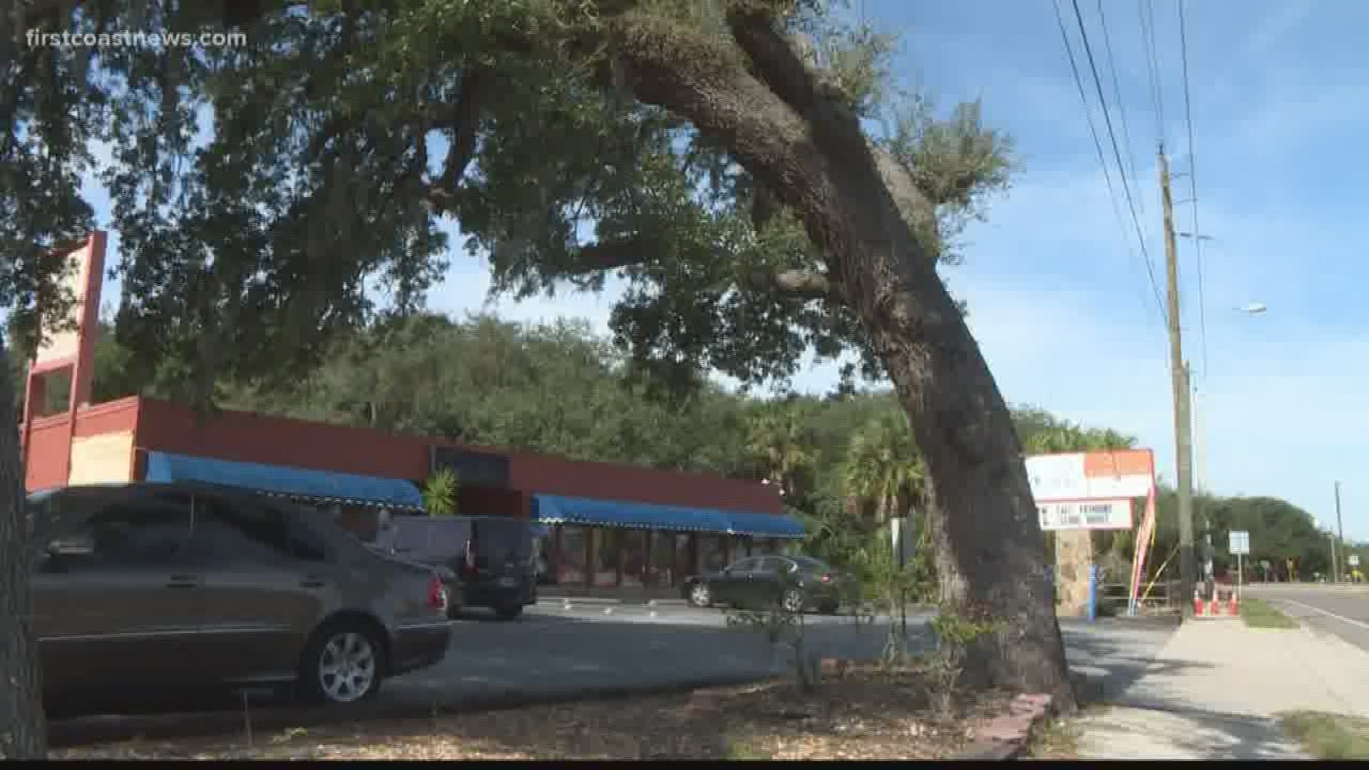A St. Augustine man was surprised when he heard his live oak might have to come down in order to improve a sidewalk.