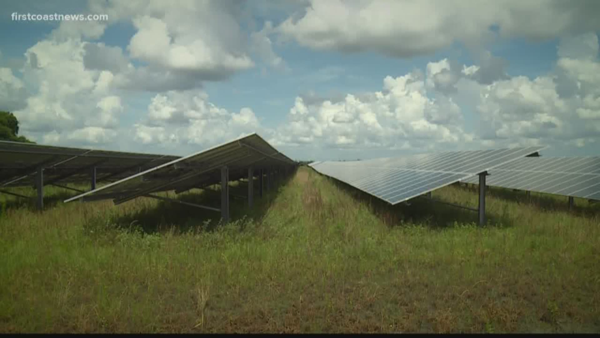 The Florida Power & Light utility plans to unveil "Solar Together," a subscription program giving customers access to solar-sourced power without need of equipment