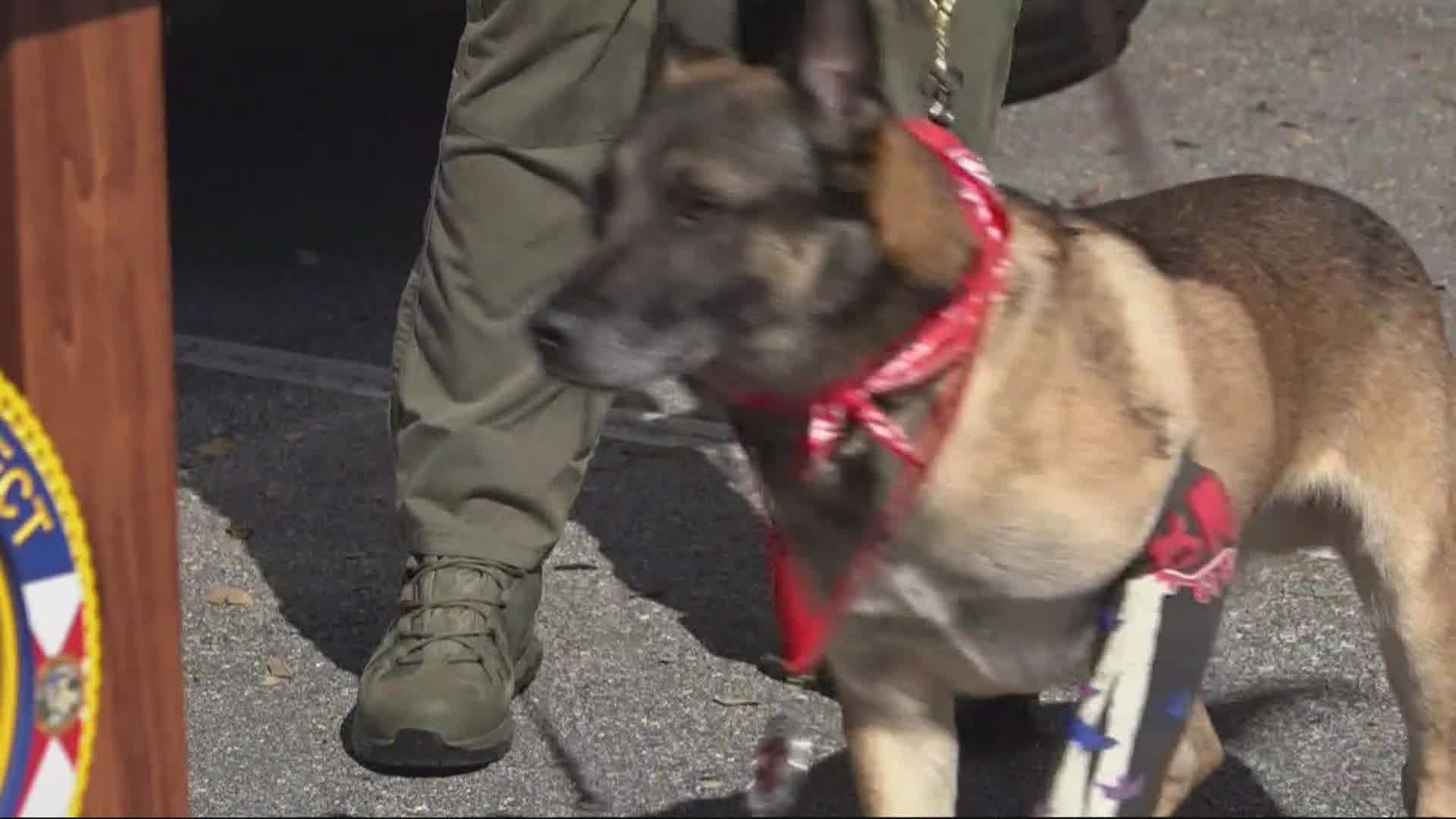 The veterinarian specialists were honored by JSO Friday.