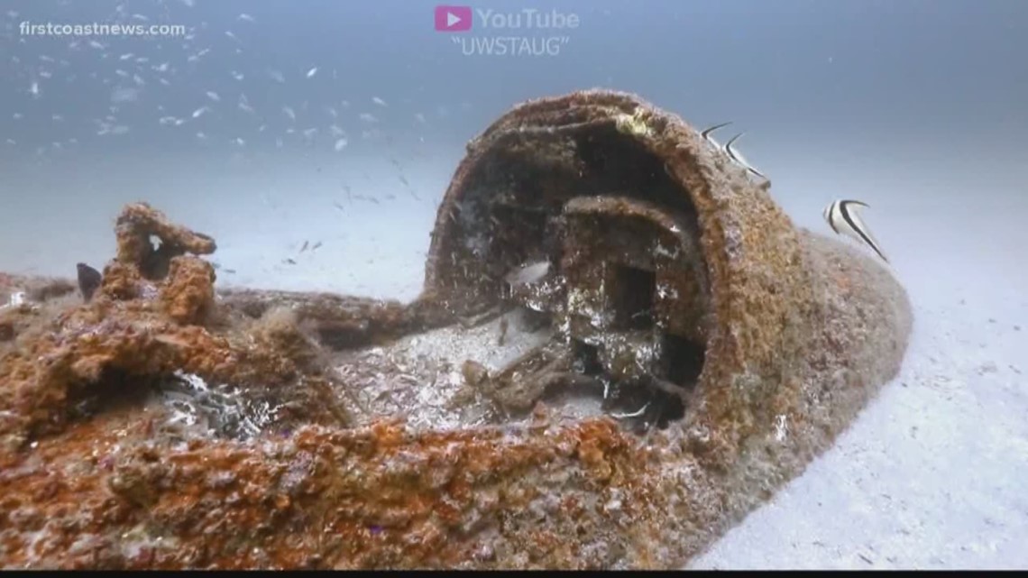 Swim with Moray Eels in this underwater airplane graveyard off the