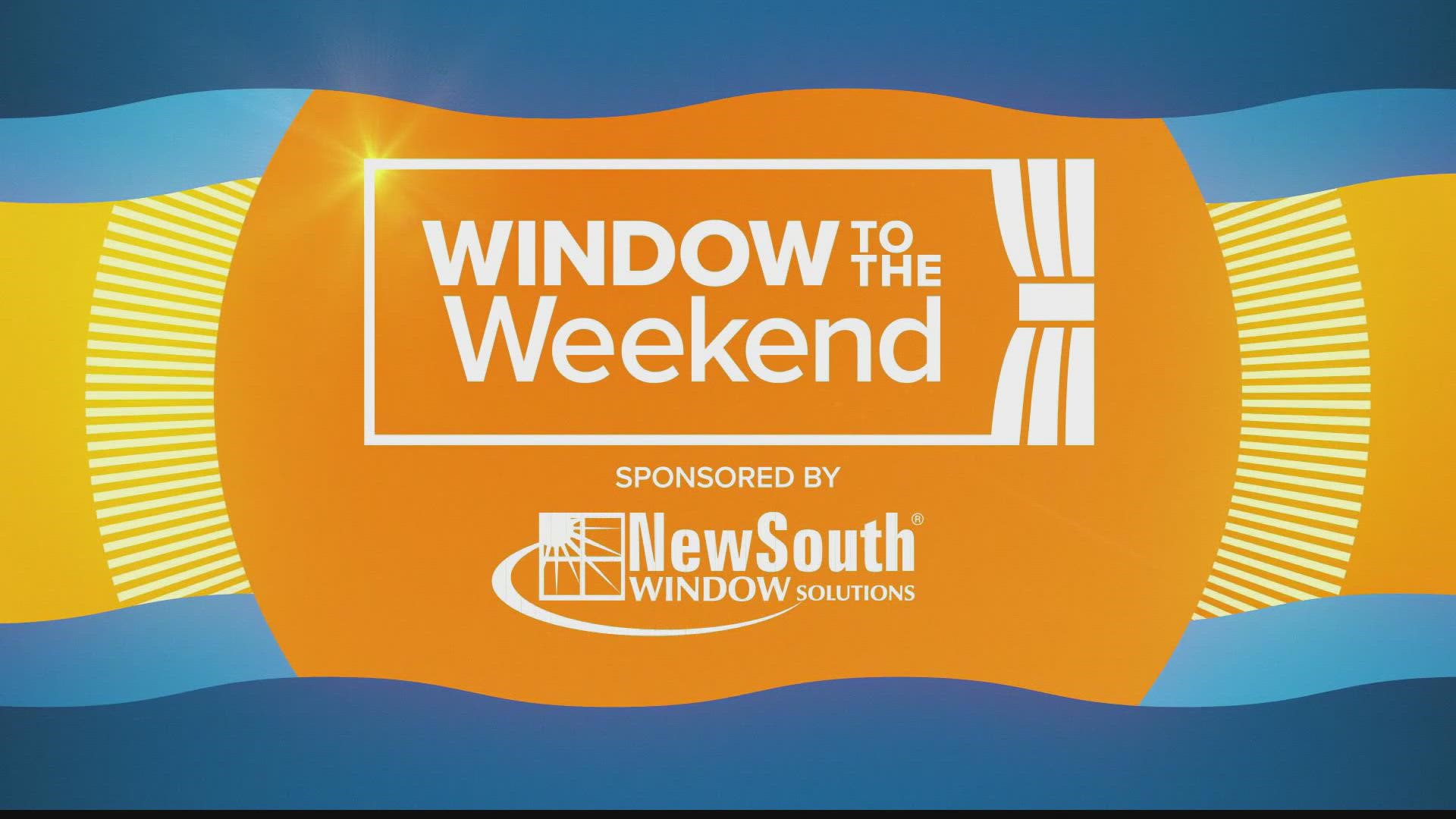 Our New South Window Solutions forecast has not been this cold in 8 years in Jacksonville! We have a hard freeze on the way by Sunday morning.