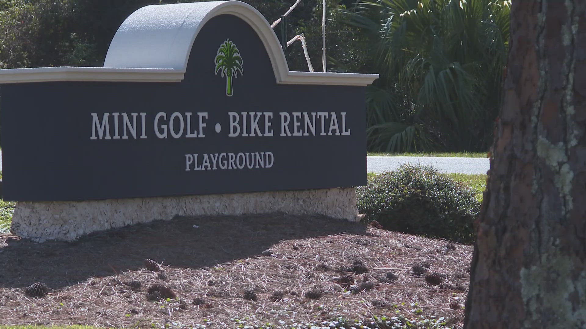 Multiple bystanders helped fend off a bobcat that attacked a woman playing mini golf Sunday evening. The health department says it tested positive for rabies.