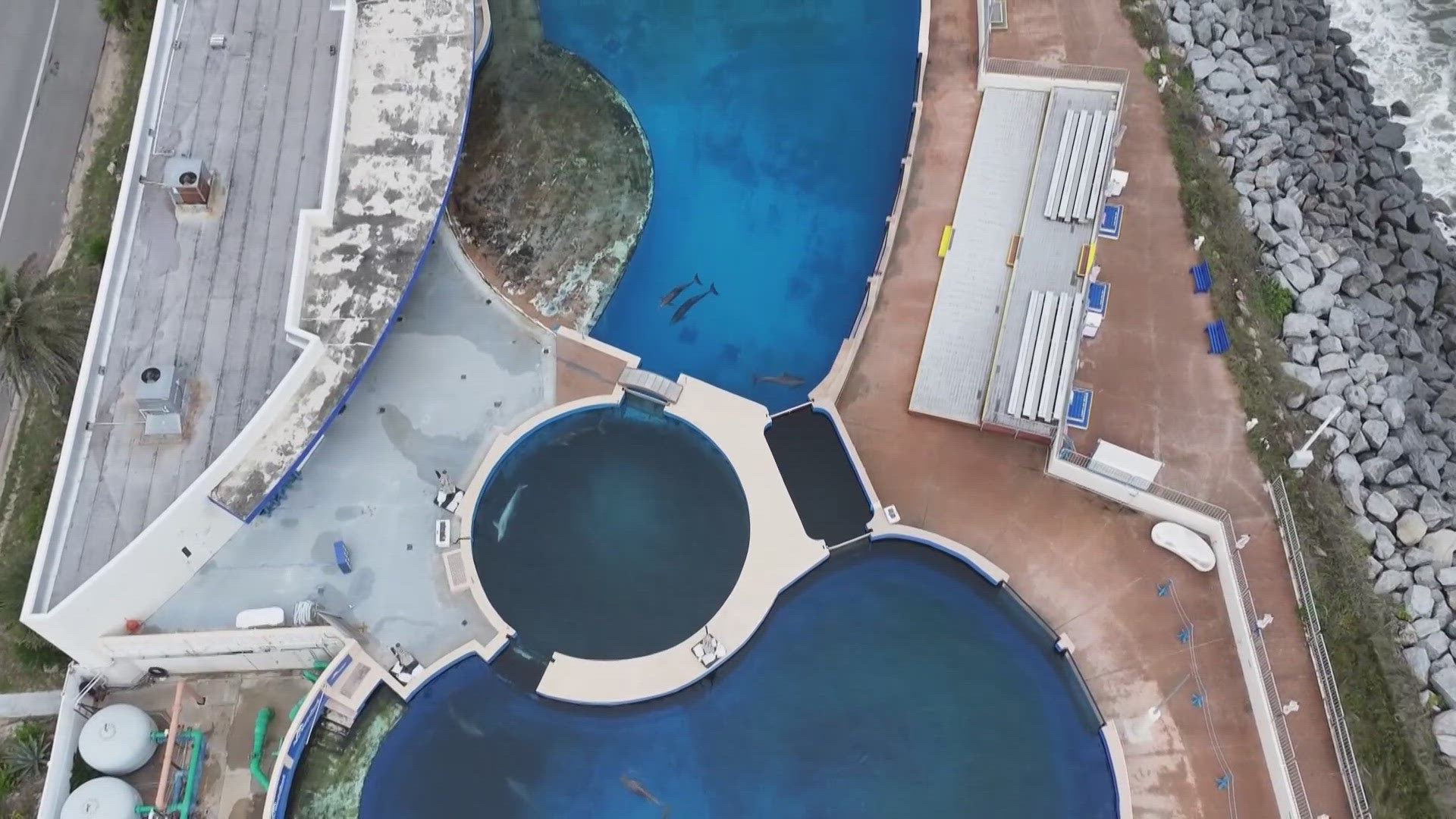 Marineland faces an uncertain future as bankruptcy stirs concern for its marine life and historical legacy.