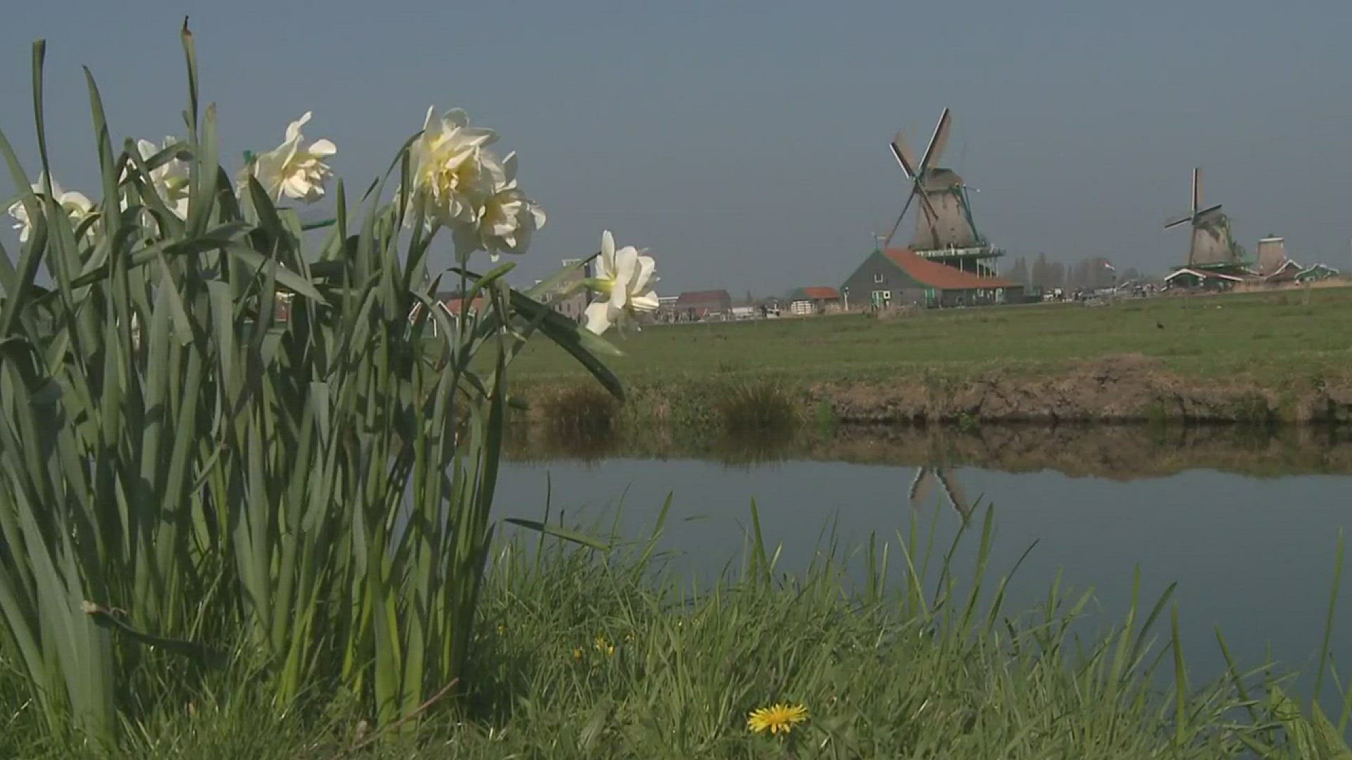Wonderful! The first few hours in Holland as Jeannie Blaylock begins talking with women from around the world about Buddy Check. From the windmills and wooden shoes to the delightful town of Delft... a gorgeous backdrop for a very important life-saving mi