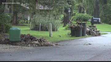 Hurricane Ian Clean Up | Where to take yard debris along the First Coast