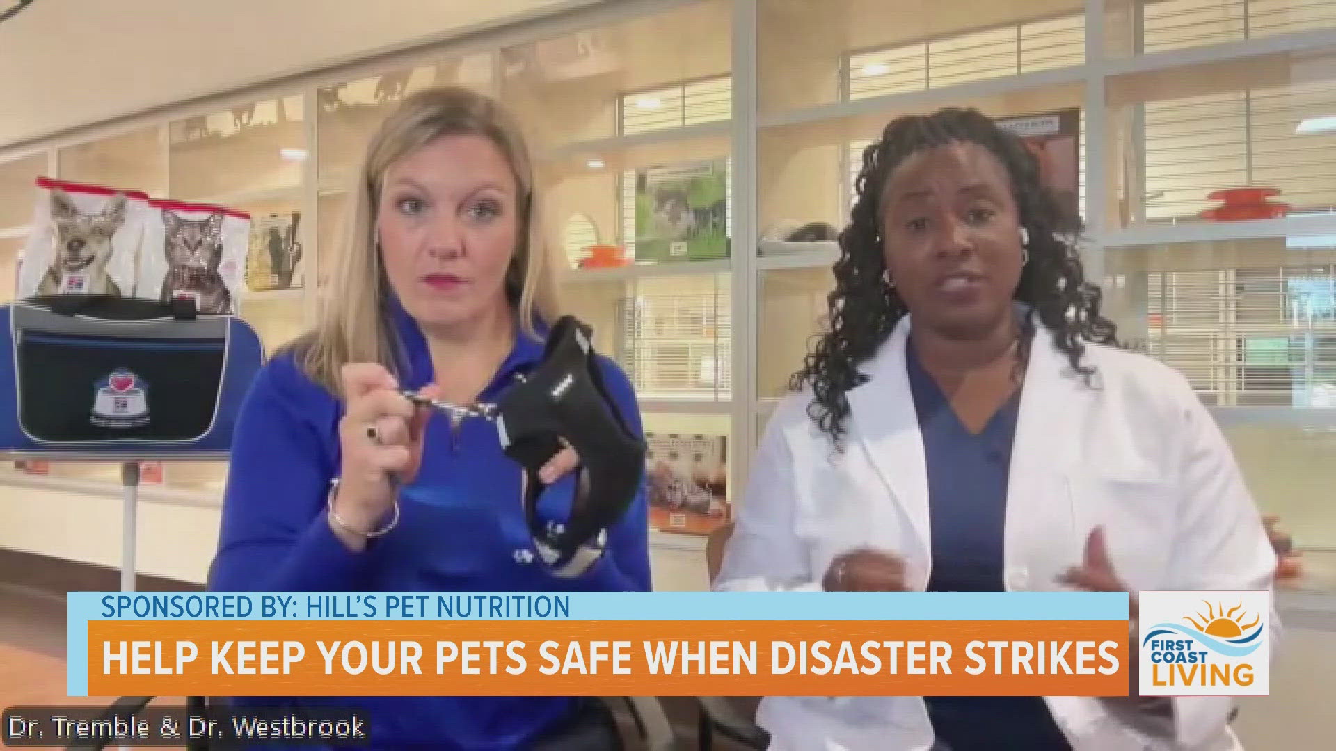 Help keep your pets safe when disaster strikes - Sponsored by Hill's Pet Nutrition