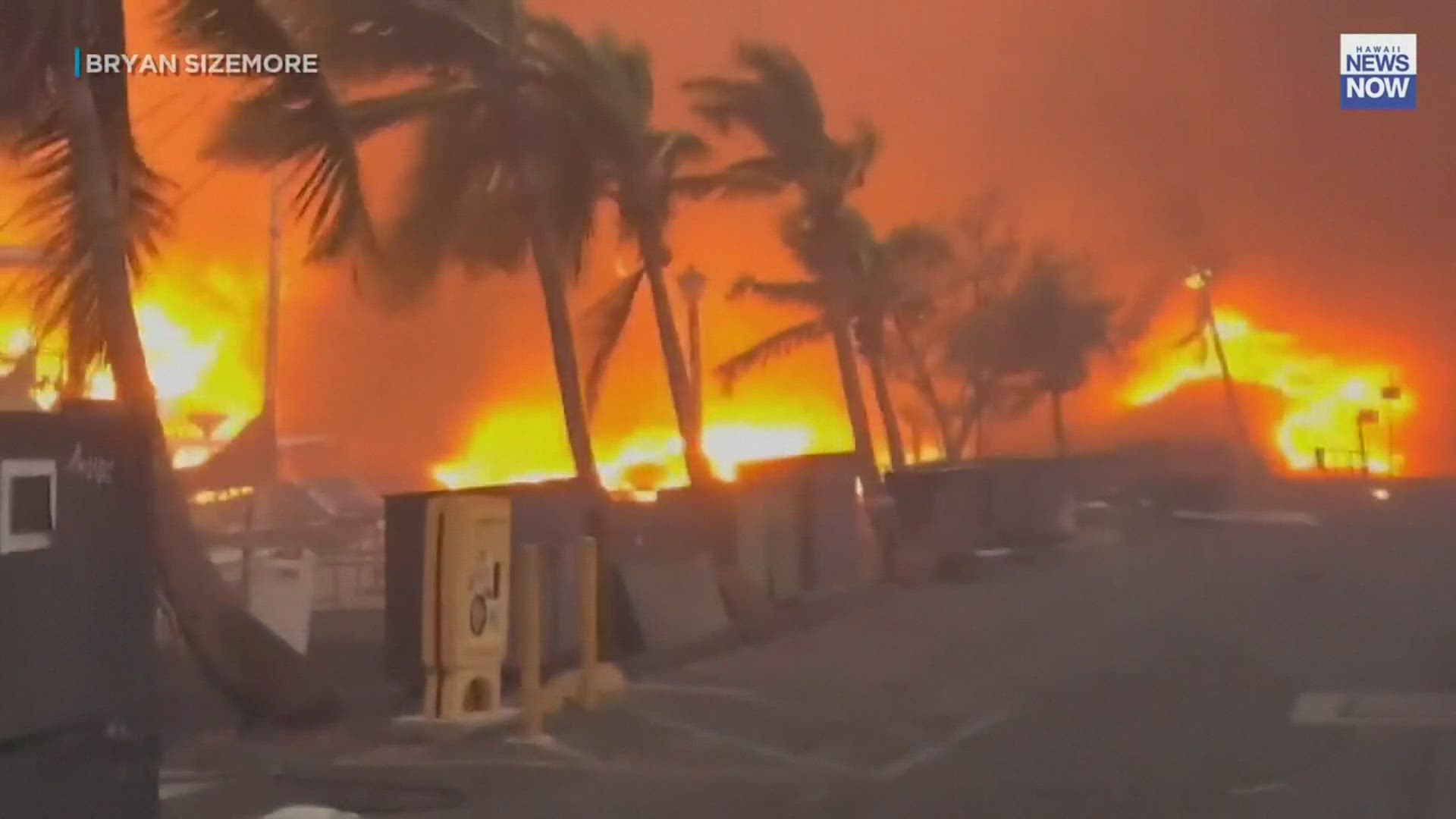 Wondering how you can help those effected by the wildfires in Hawaii? Here are some ways to donate.