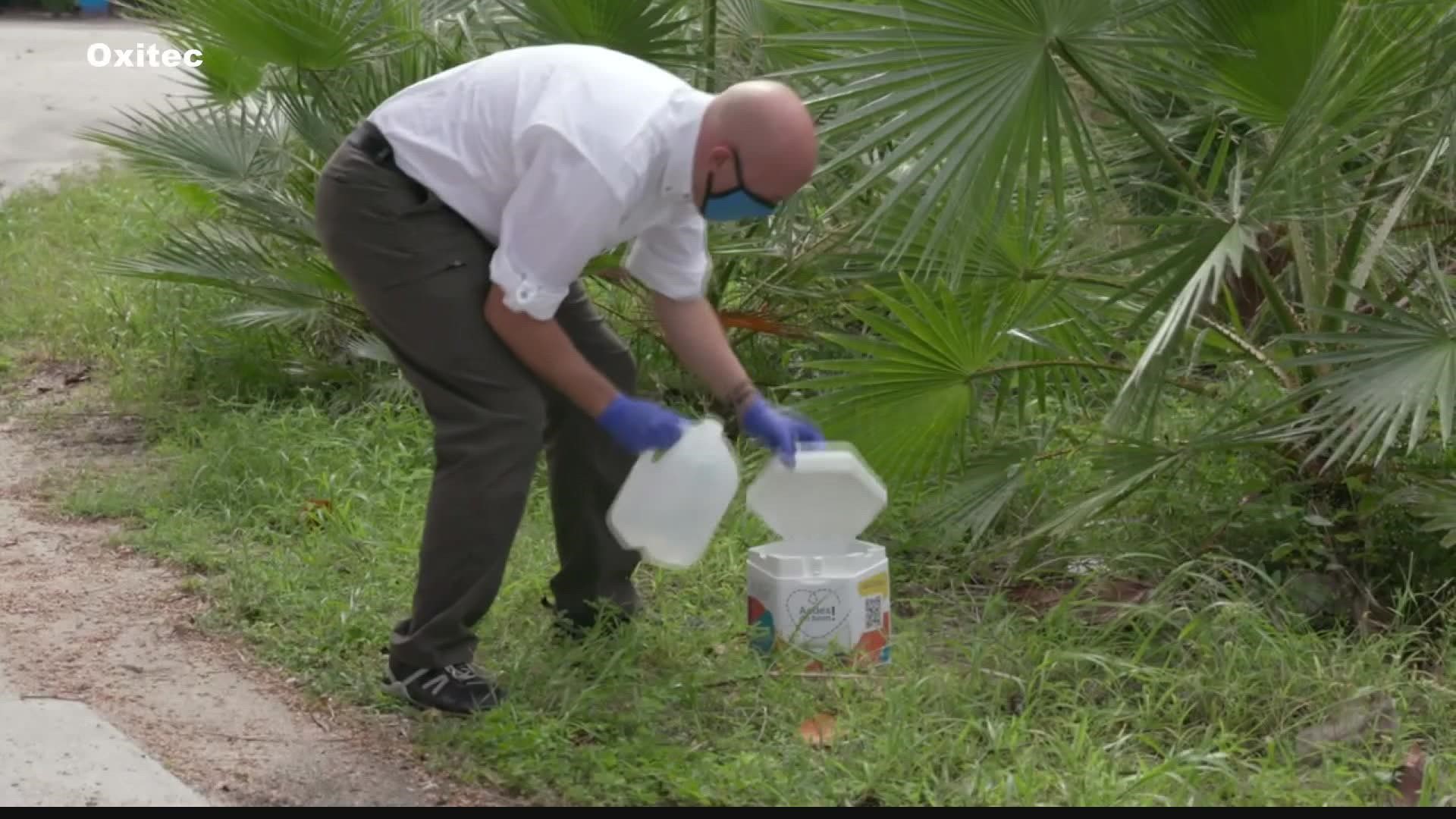 The Florida Department of Agriculture has approved the release of millions of genetically modified mosquitoes in the Florida Keys as part of a pilot program.