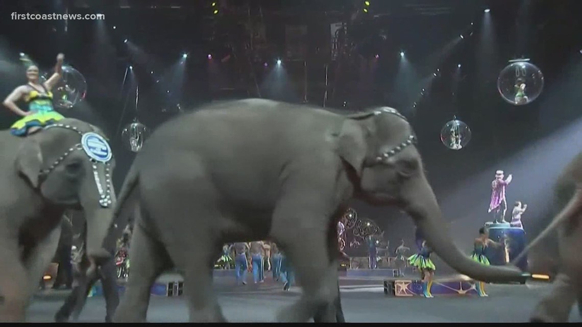 Retired circus elephants settle in at Florida conservation - Vimarsana News