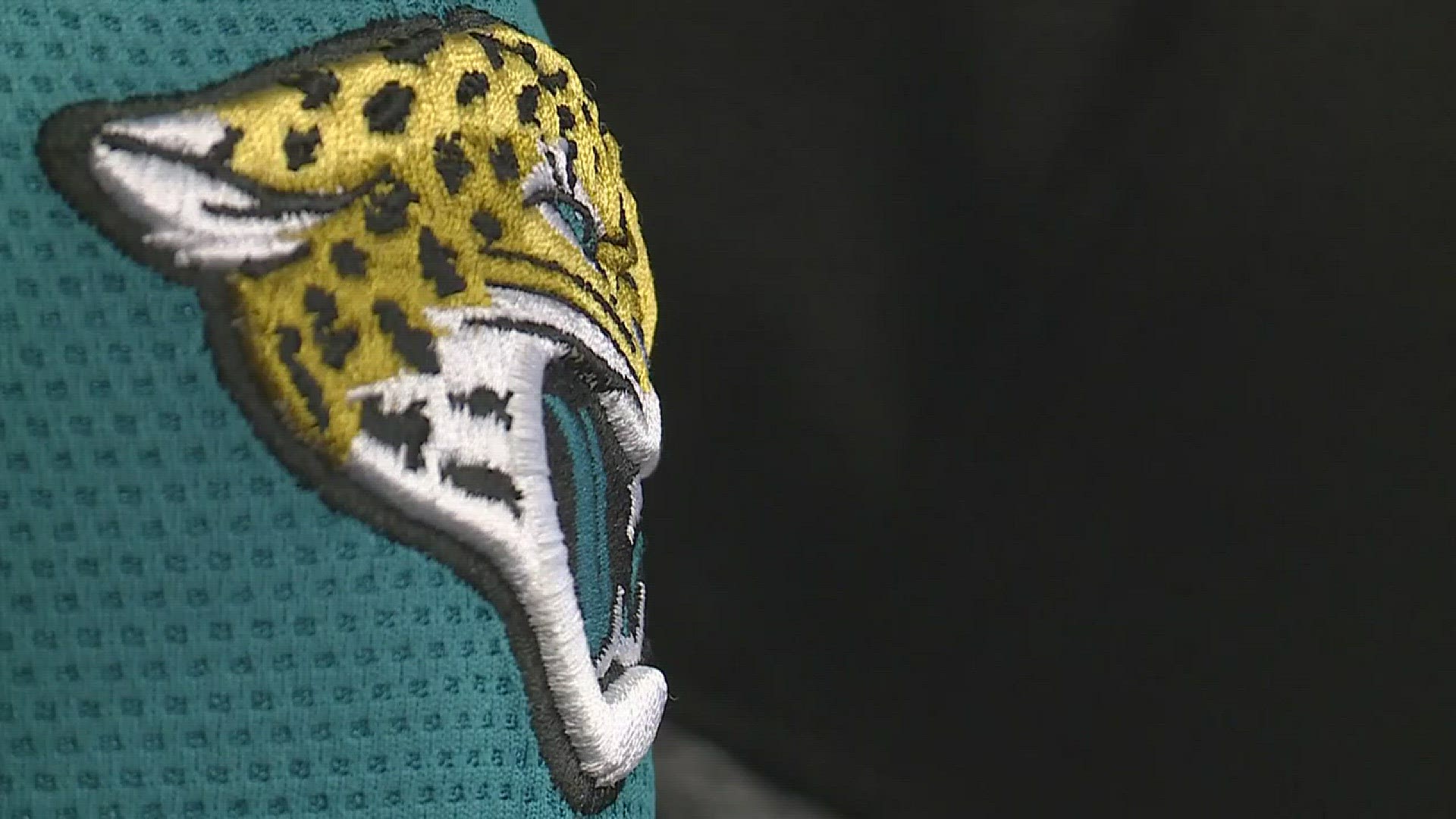 More than 100 Cincinnati Bengals fans have expressed their thanks to the Jacksonville Jaguars for beating the Pittsburgh Steelers on Sunday by donating to the Blake Bortles Foundation.