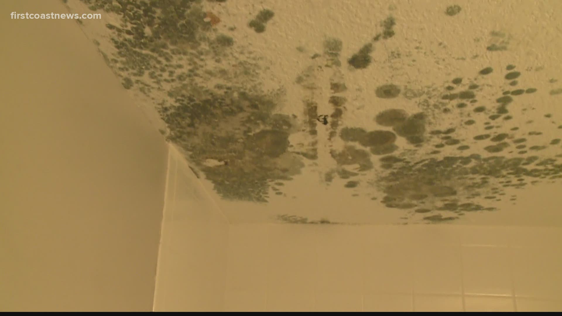 A woman says the mold problems at her father's apartment is causing him to have health problems -- a cough so bad, he thought it was COVID-19.