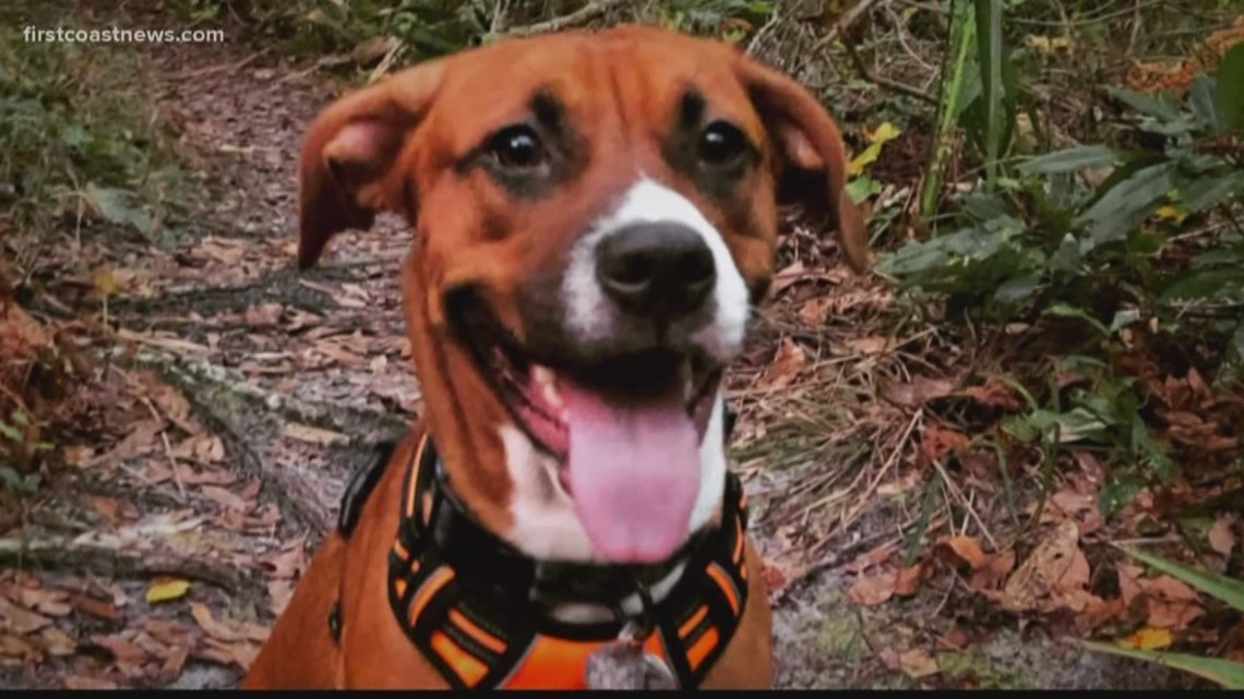 Dog shot and killed in park deemed justified by sheriff's office ...