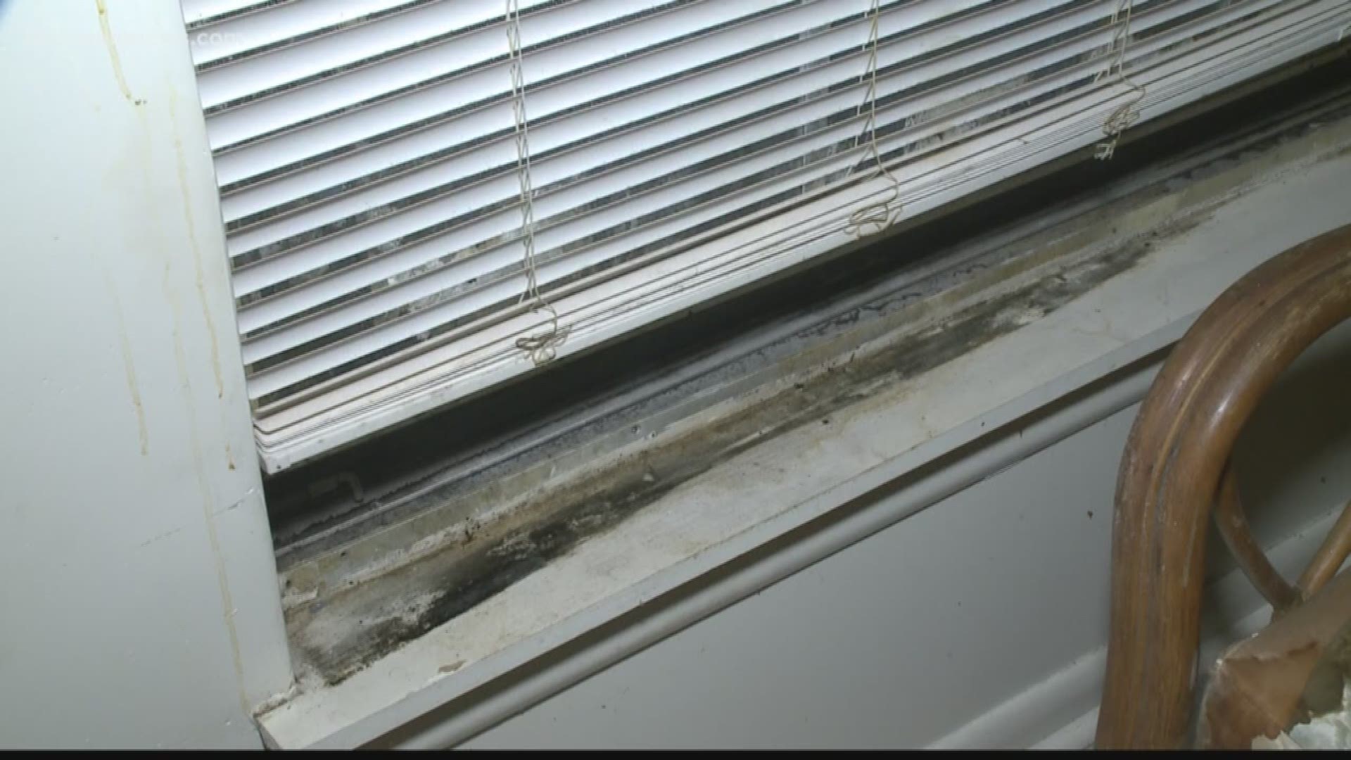A resident is concerned for her health as her apartment continues to accumulate mold and roaches.