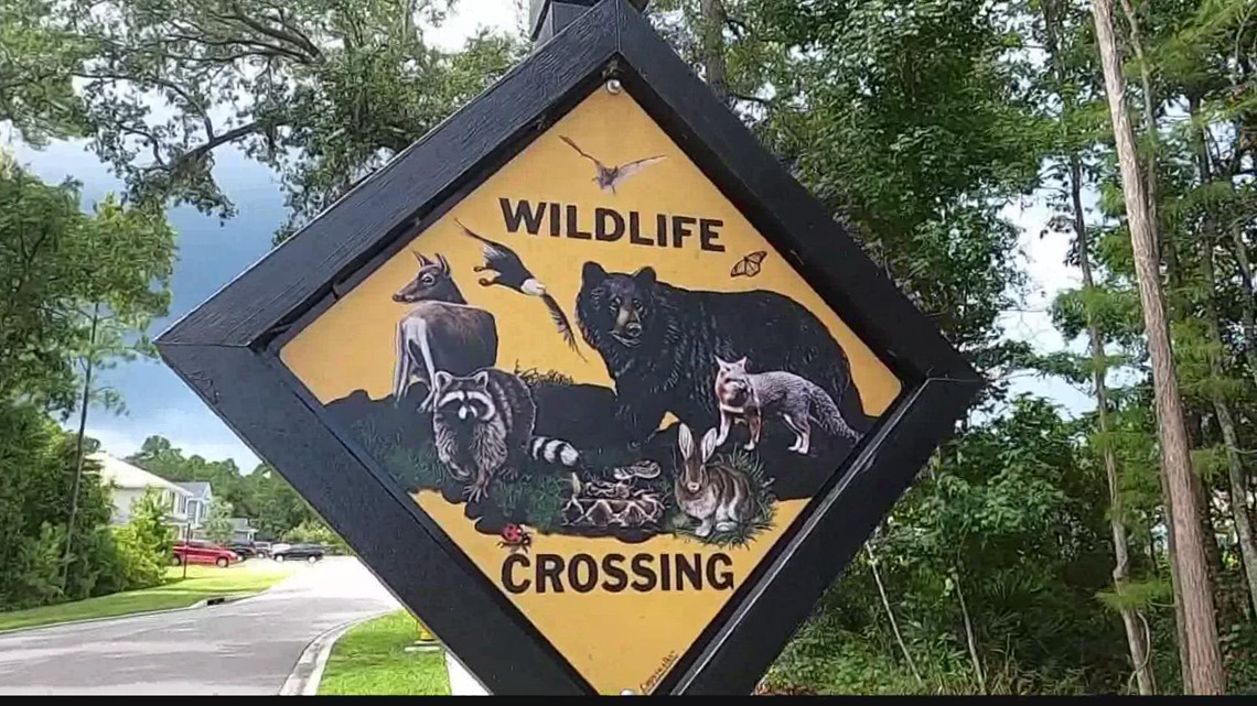 St. Johns County couple finds out the hard way that conservation land doesn't always stay conservation land - Vimarsana News
