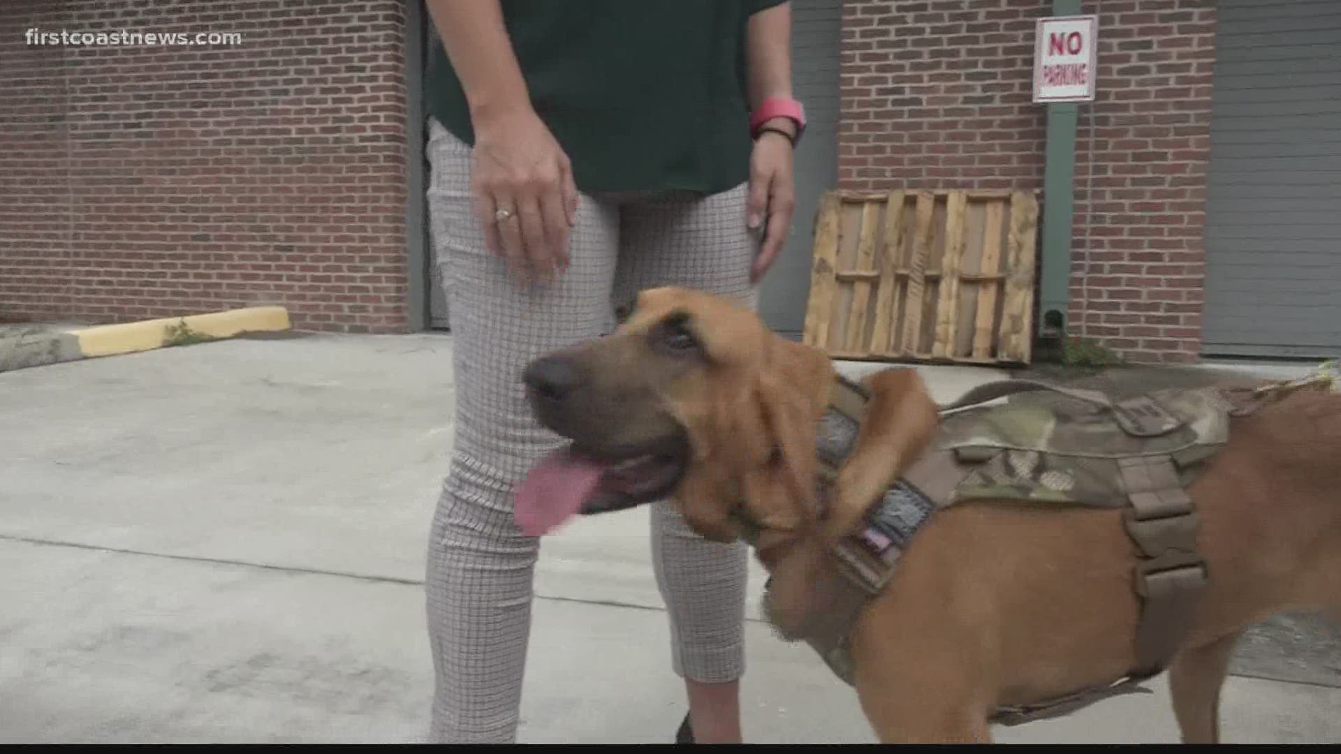 "We are so happy he’s ok (minor injuries and dehydration) and he is reunited with his family," said The Nassau County Sheriff's Office on Facebook.