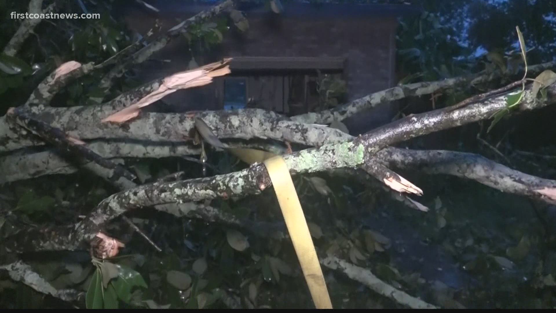 Tree goes through San Jose home during Tropical Storm Elsa