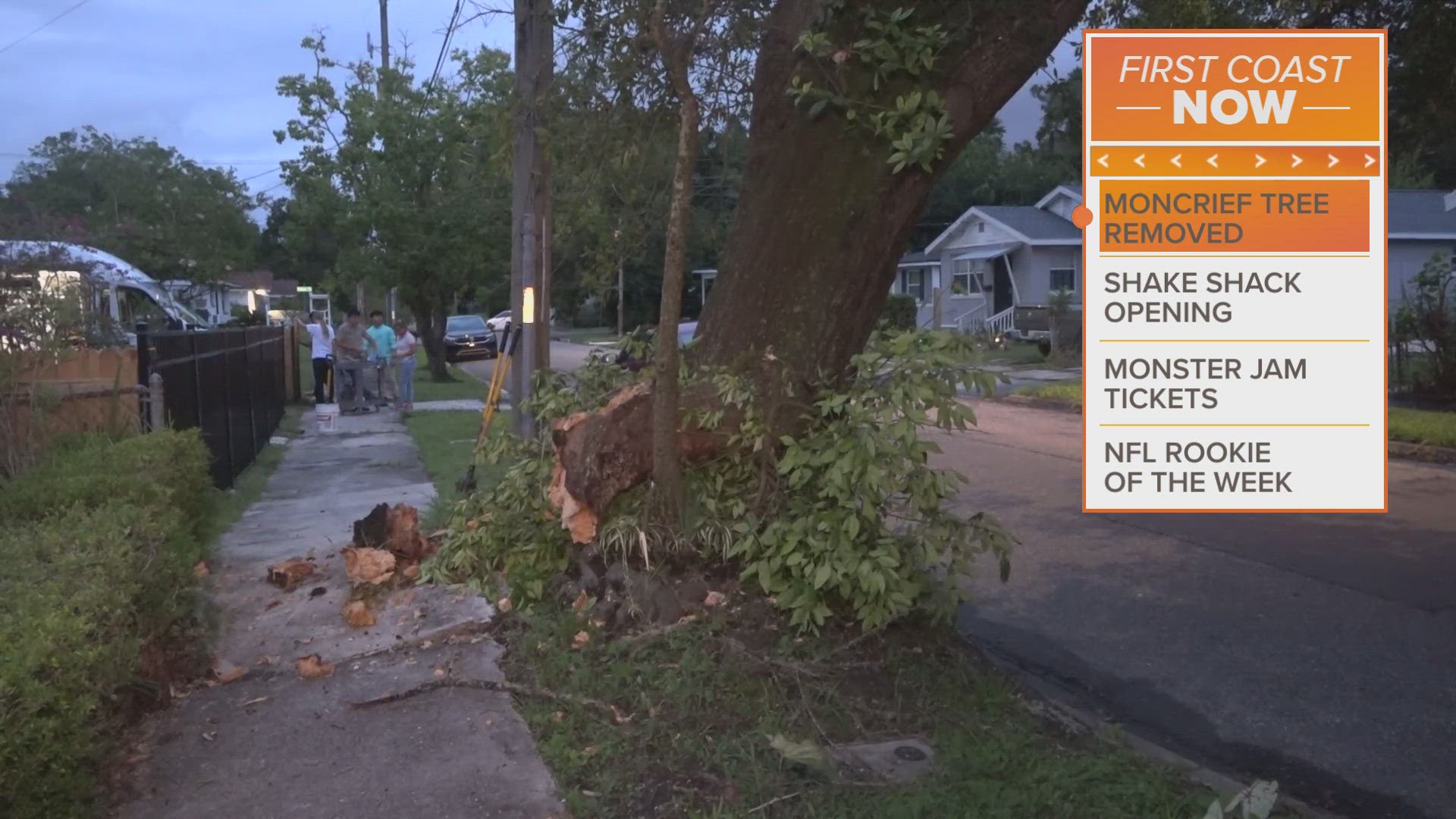 The giant tree, which was located on West 23rd Street, was leaning so much so that it caused a sidewalk to be broken apart.