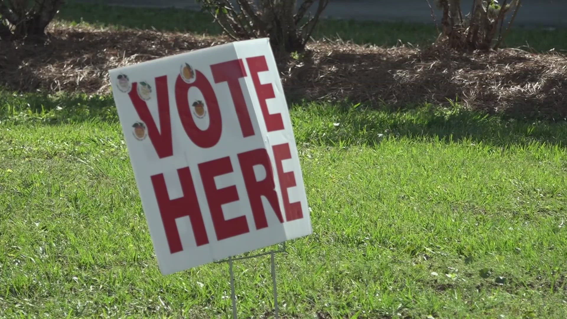 Glynn and Camden counties had a higher percentage of early voters compared to other counties in the state.
