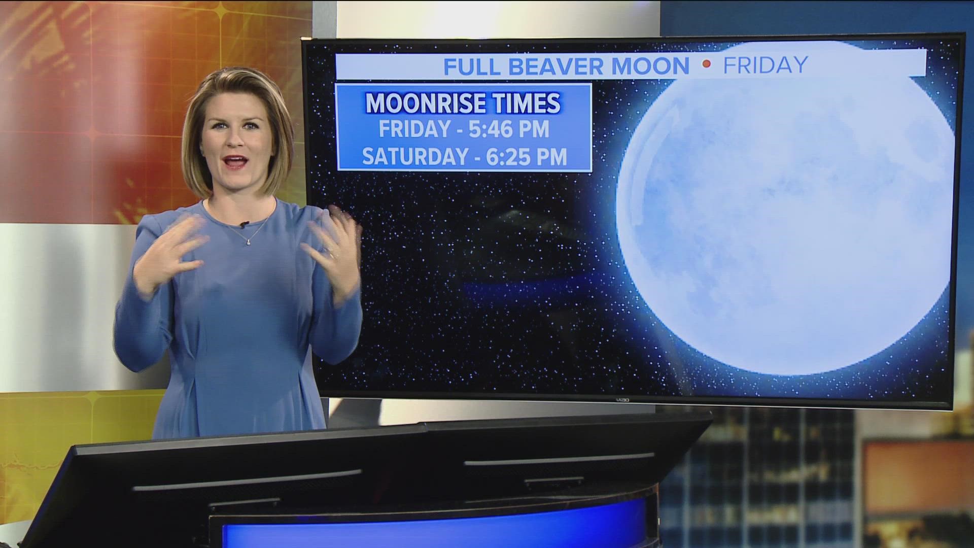 Why is it called a Beaver Moon? The clue is in the name…