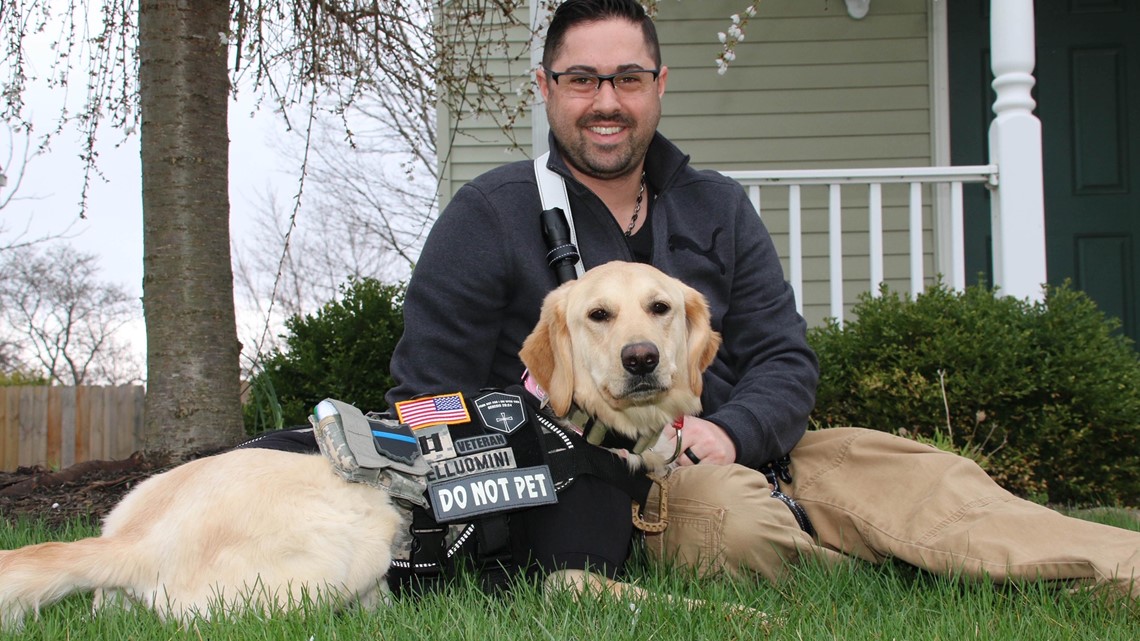 Saint Francis Service Dogs - Hank, fur baby of our Operations Manager, Deb,  catching some serious air!