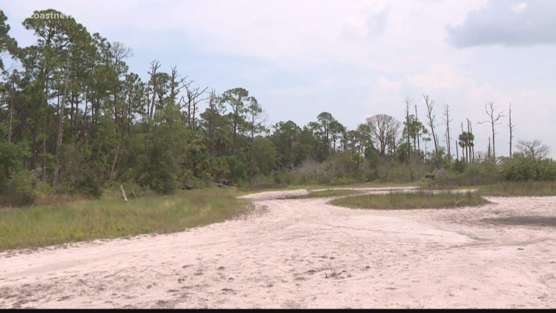 Many people demanded Fish Island in St. Augustine be saved from bulldozers in the past year. It is part of Anastasia Island. The 57 acres sit on the eastern side of the 312 Bridge, right on the Intracoastal Waterway.