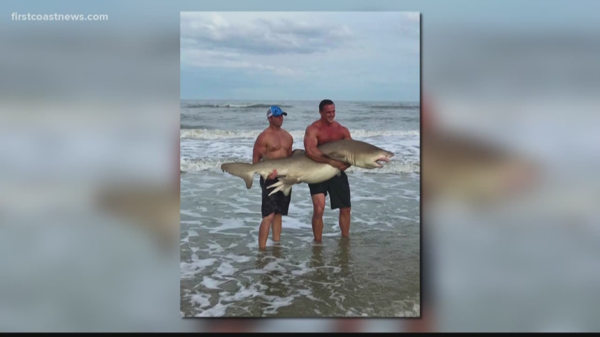 Robert Arnemann and Matt Gaston say they've never caught a shark this huge before and had no intentions of catching the one in their viral picture.