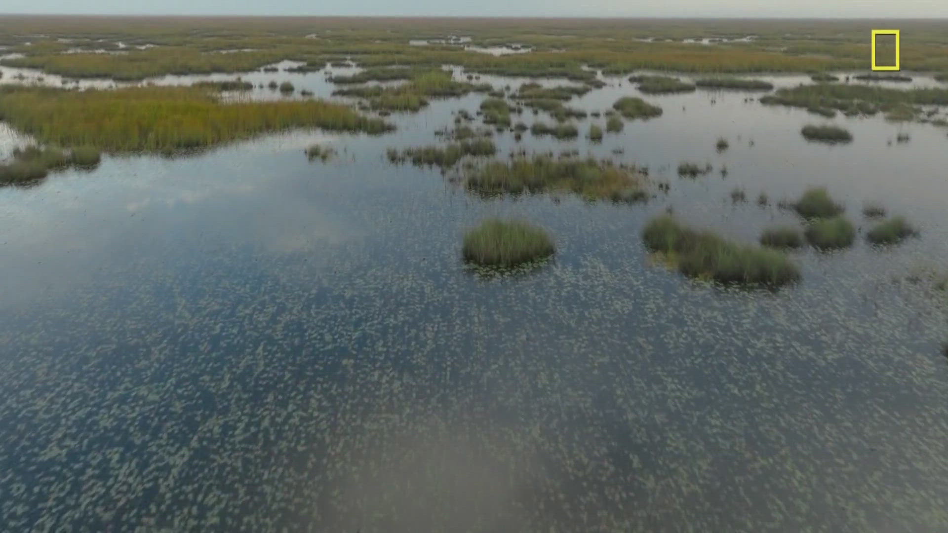 Starting on Sunday Sept. 8, Nat Geo will begin airing their series “National Parks USA" and one of the episodes features the Everglades in Florida.