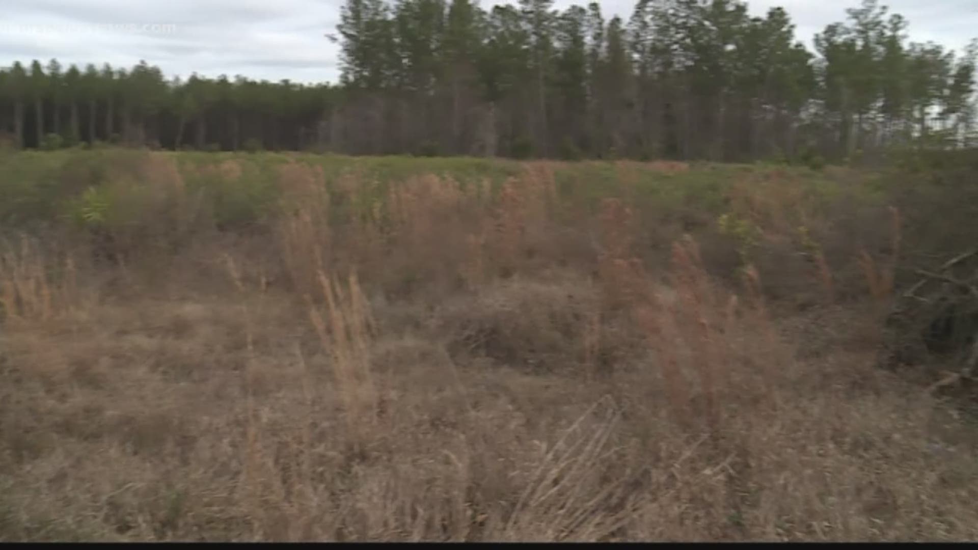 The Brantley County Development Partners LLC has filed an application to develop a landfill in the area and many locals oppose it.