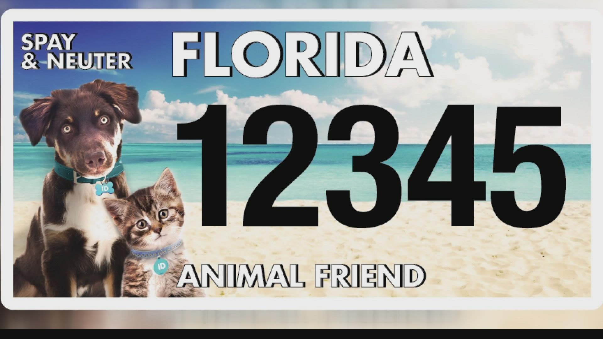 how much is a dog license in florida