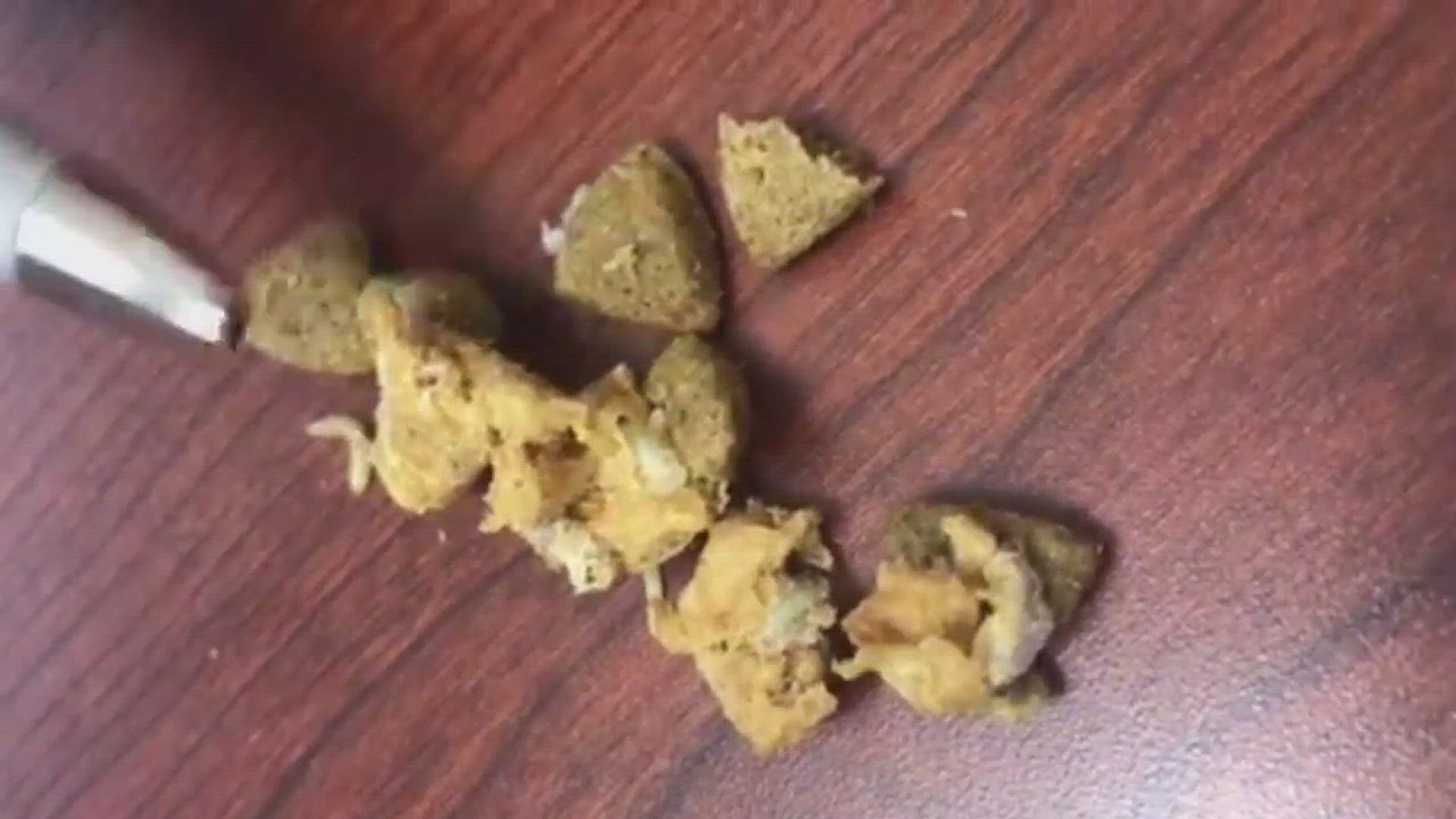Jacksonville man finds 'maggots' in dog food