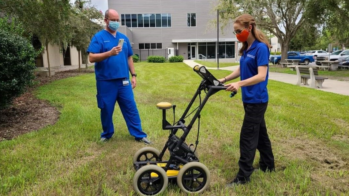 uf-program-performs-forensic-autopsies-on-stray-cats-and-dogs