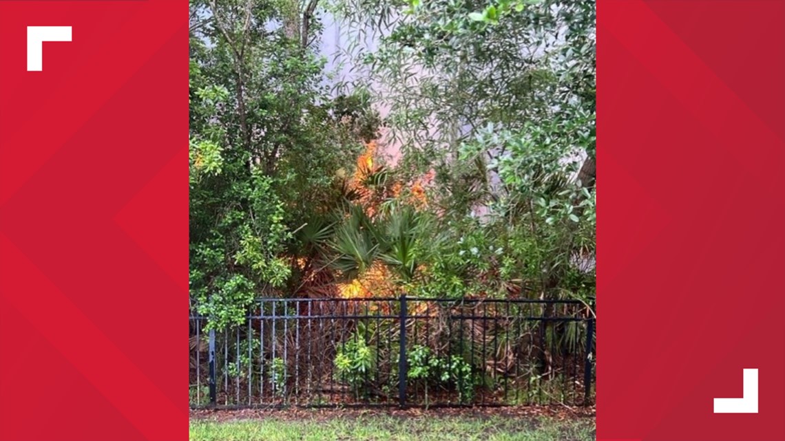 Fire believed to have been started by lightning - Vimarsana News