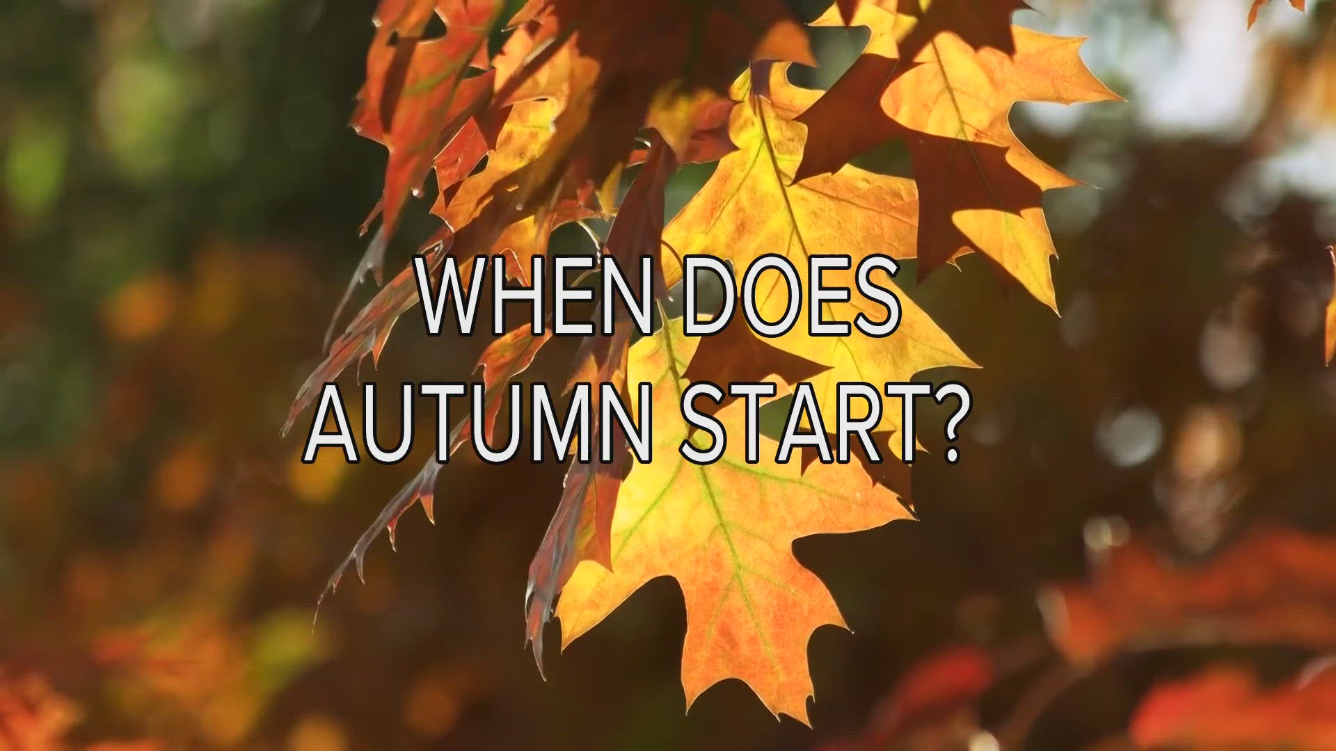 The difference between Meteorological and Astronomical Autumn lies in how the seasons are defined.