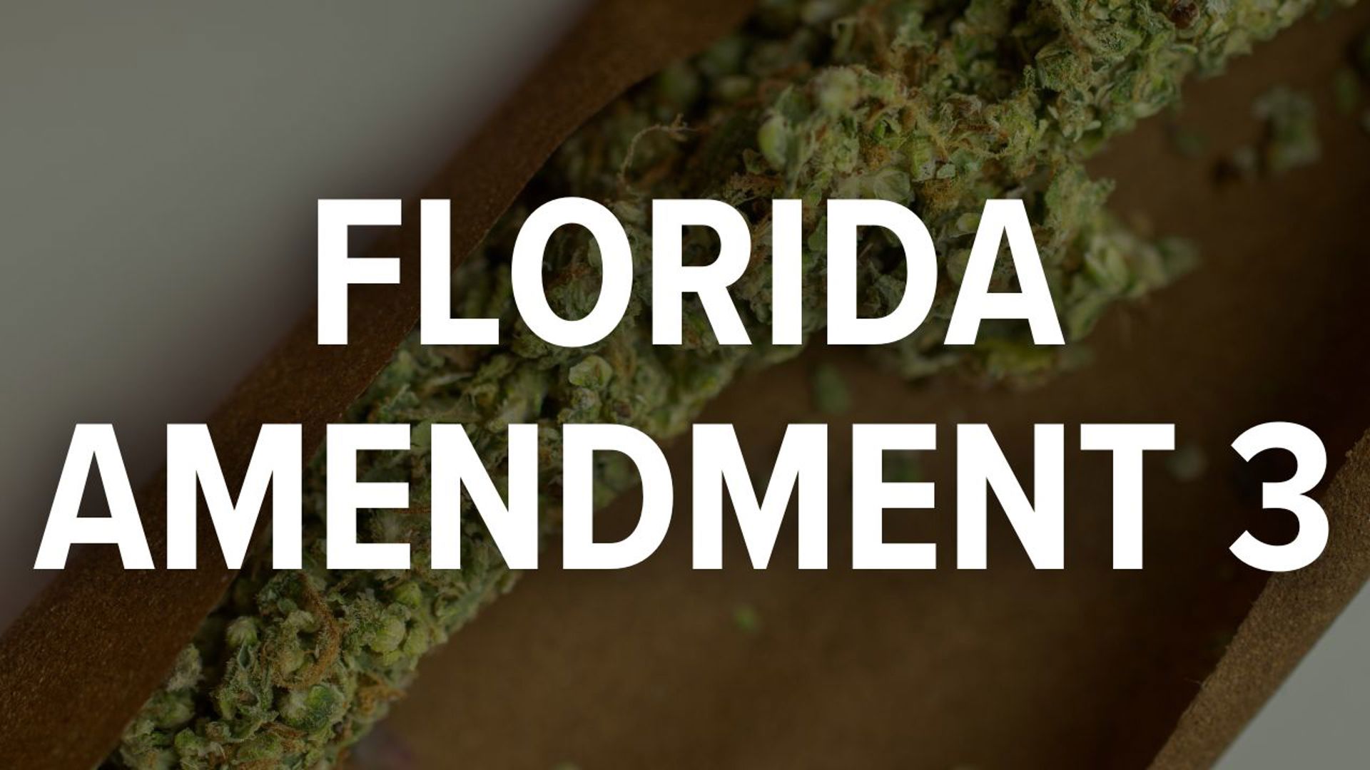 This would expand a law that's been on the books since 2016 when more than 70% of voters in Florida chose to legalize medical marijuana.