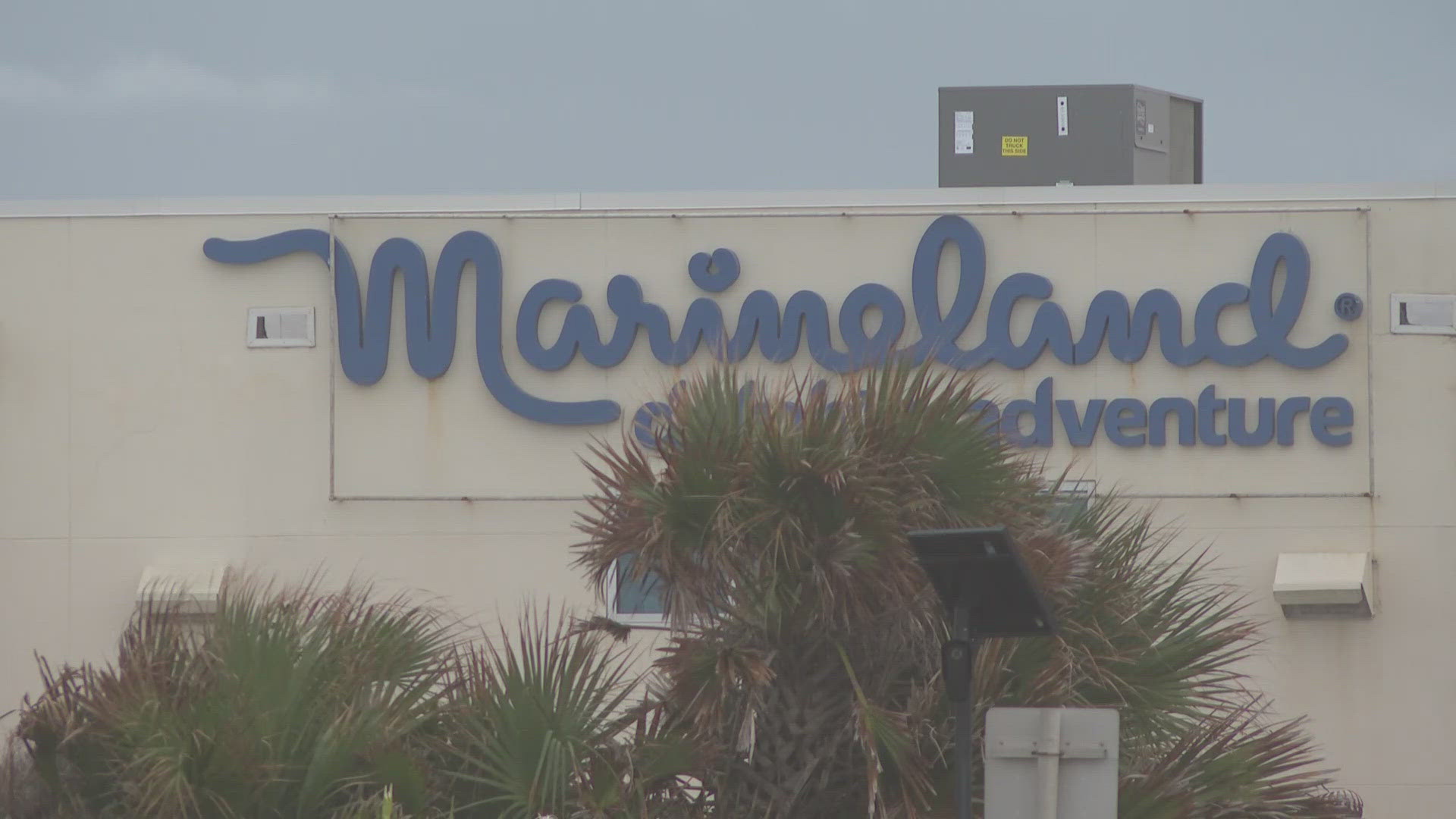 The secretive auction for Marineland happened on Monday between three bidders. The results will be presented to the judge on Wednesday.